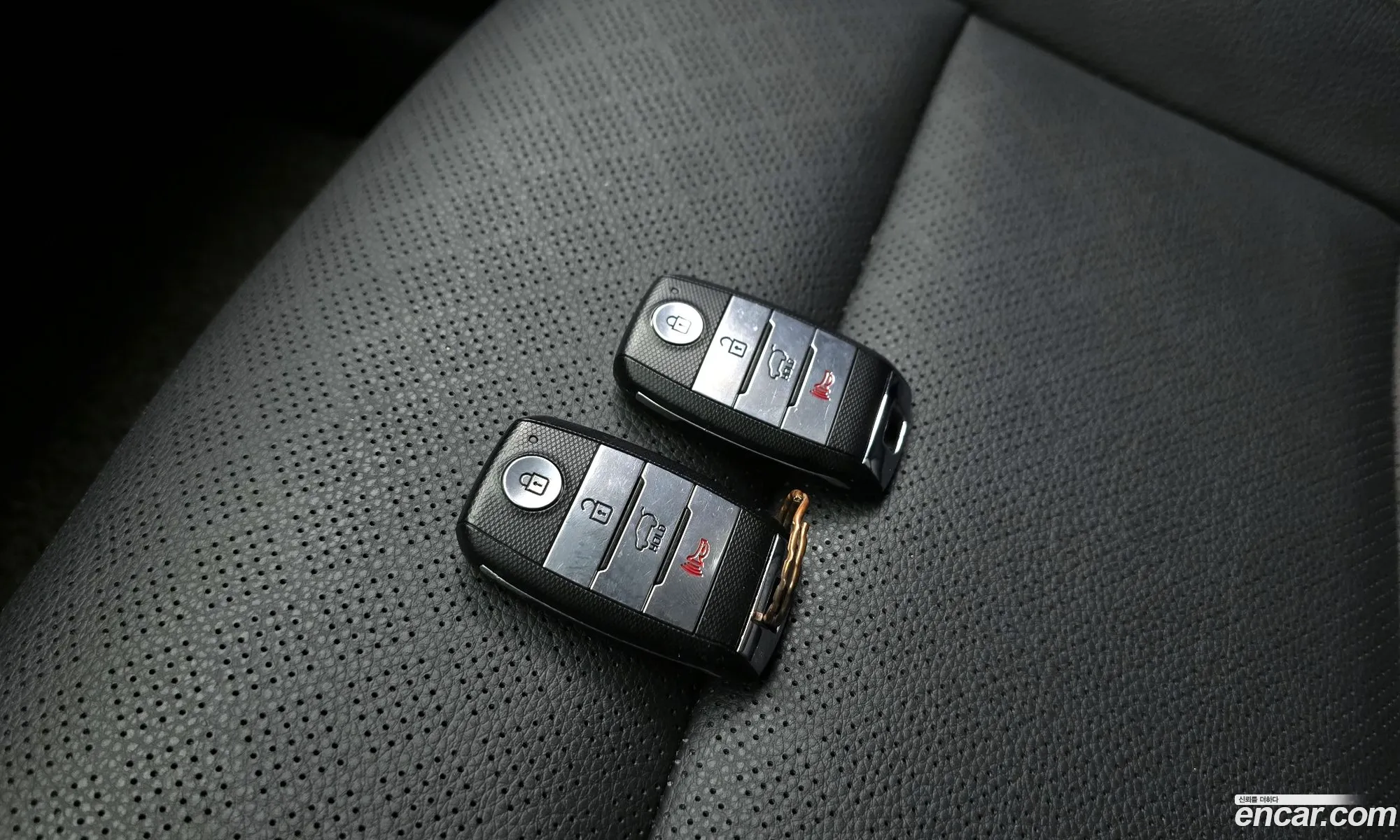 Korex Auto Trade - фотография 1662459