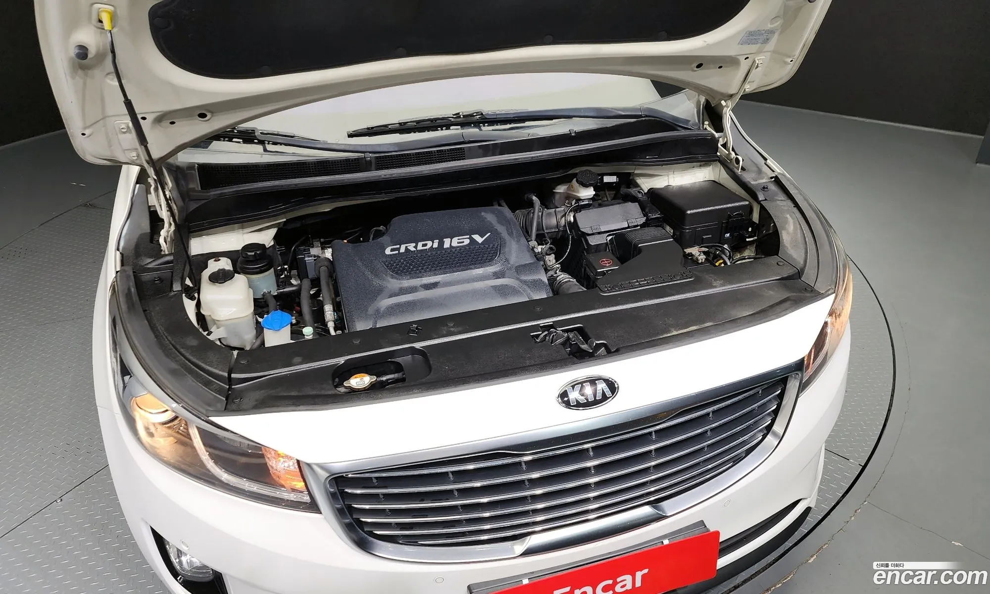 Kia All New Carnival 11-Seater Luxury - фотография 1640339