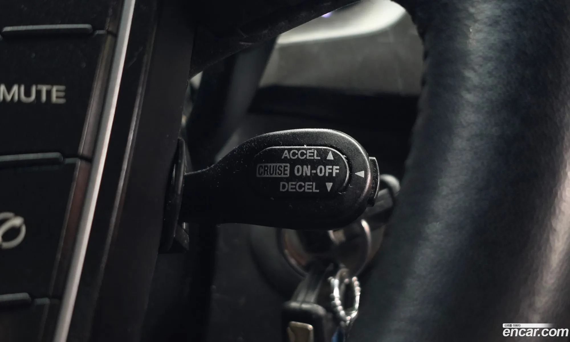 Korex Auto Trade - фотография 8365260
