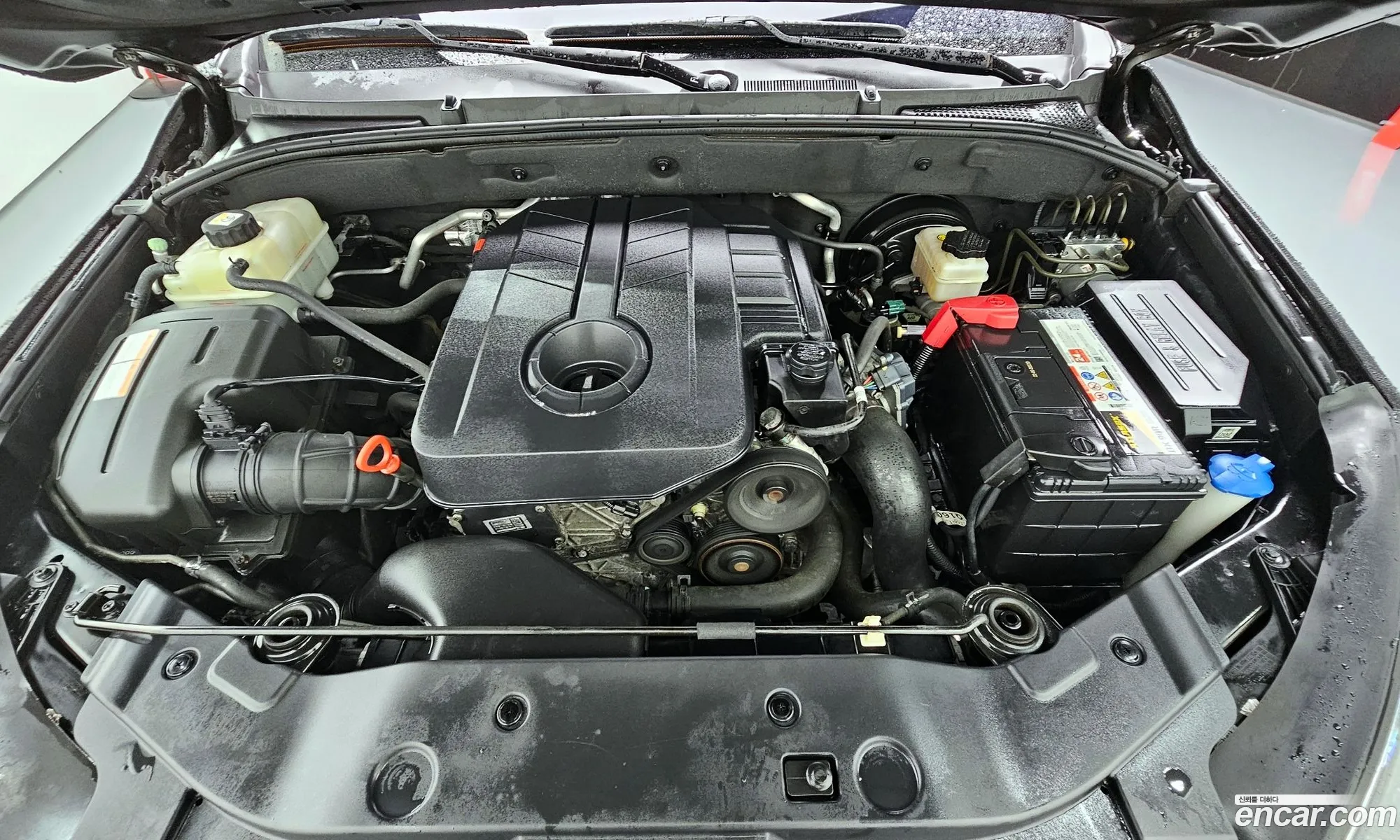 Kg Mobility Ssangyong The New Korando Sports 22 Cx5 2Wd Club - фотография 7459859