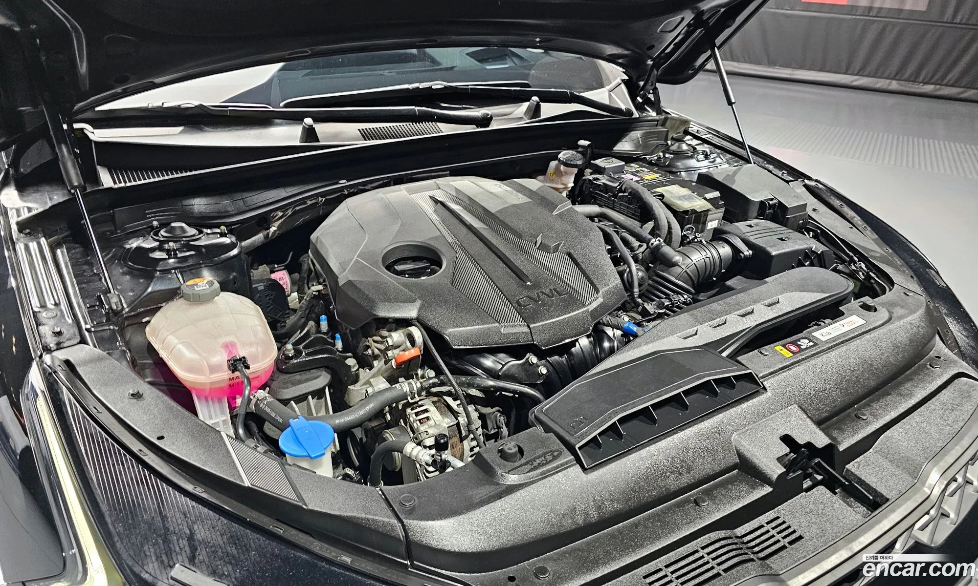 Kia K5 3Rd Generation 20 Noblesse - фотография 16941446