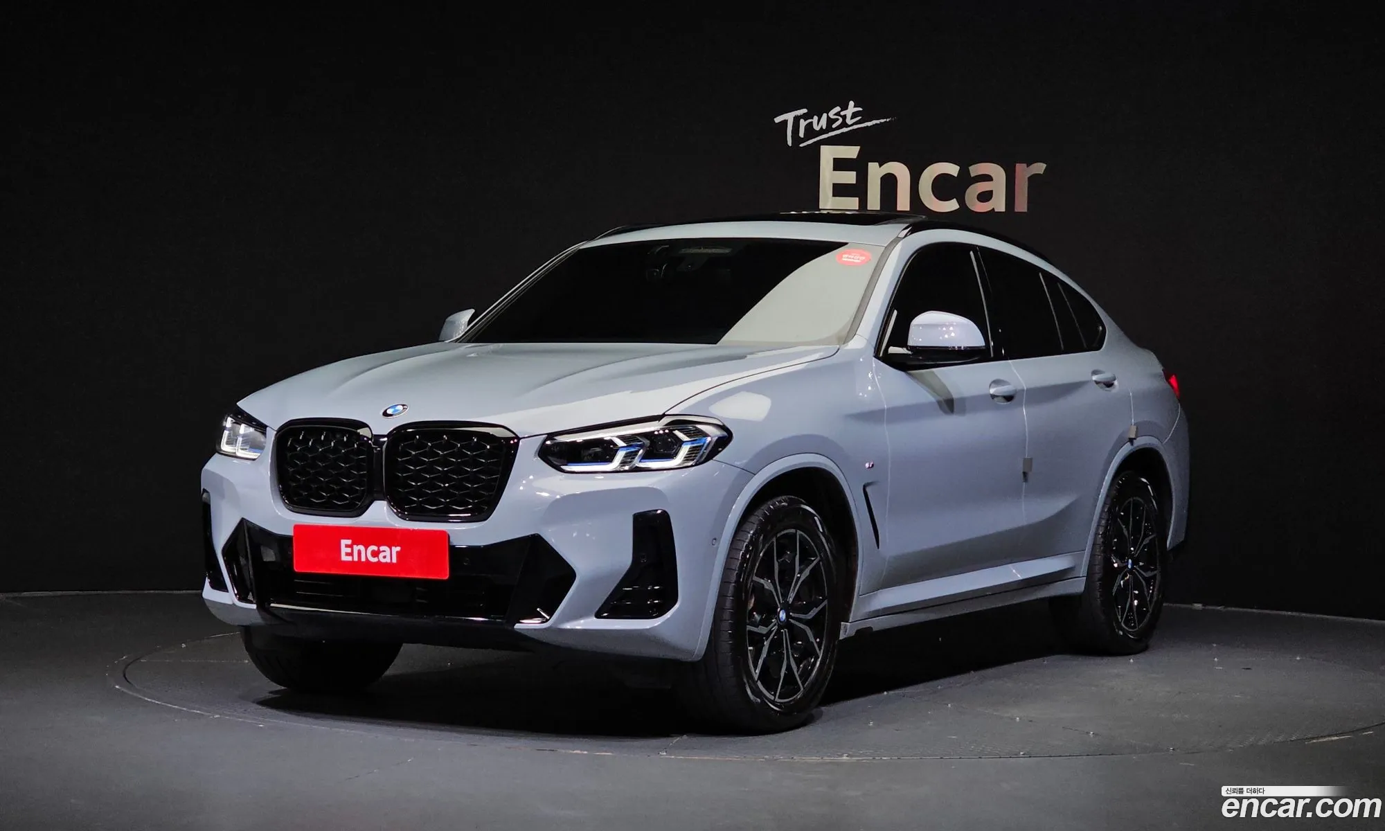 BMW X4 G02 xDrive20I M Sports Pro - фотография 15412231