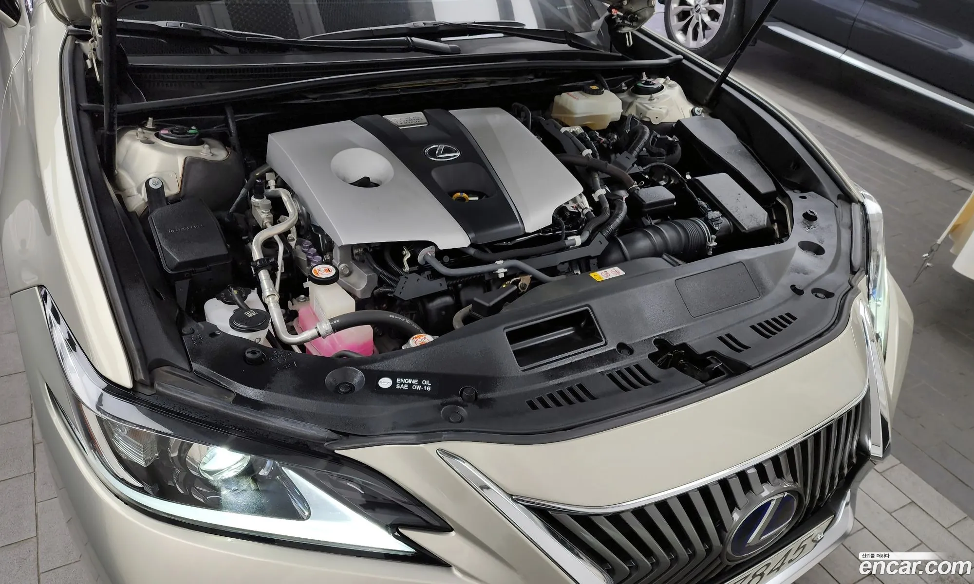 Lexus Es300H 7Th Generation Luxury Plus - фотография 6348790