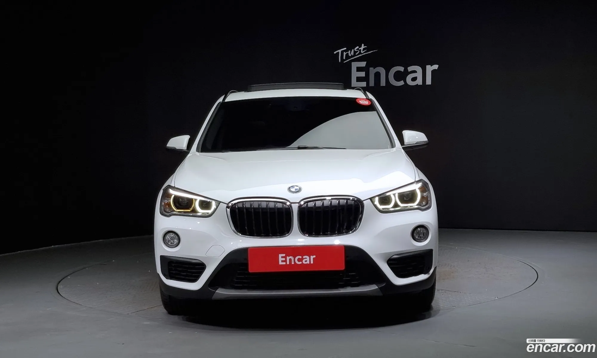 BMW X1 F48 xDrive 18D - фотография 15440005