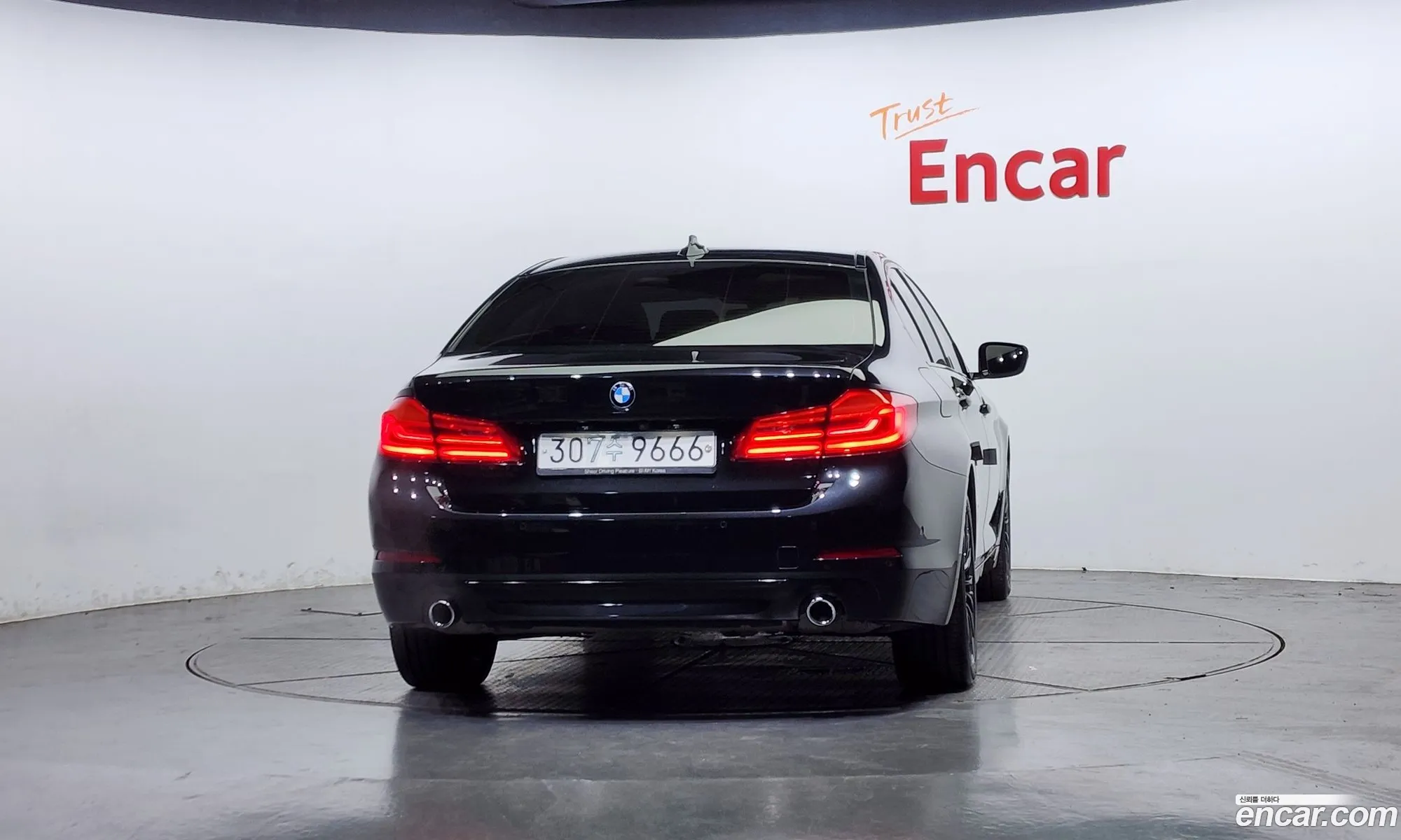 BMW 5 Series G30 520I Luxury - фотография 15439982