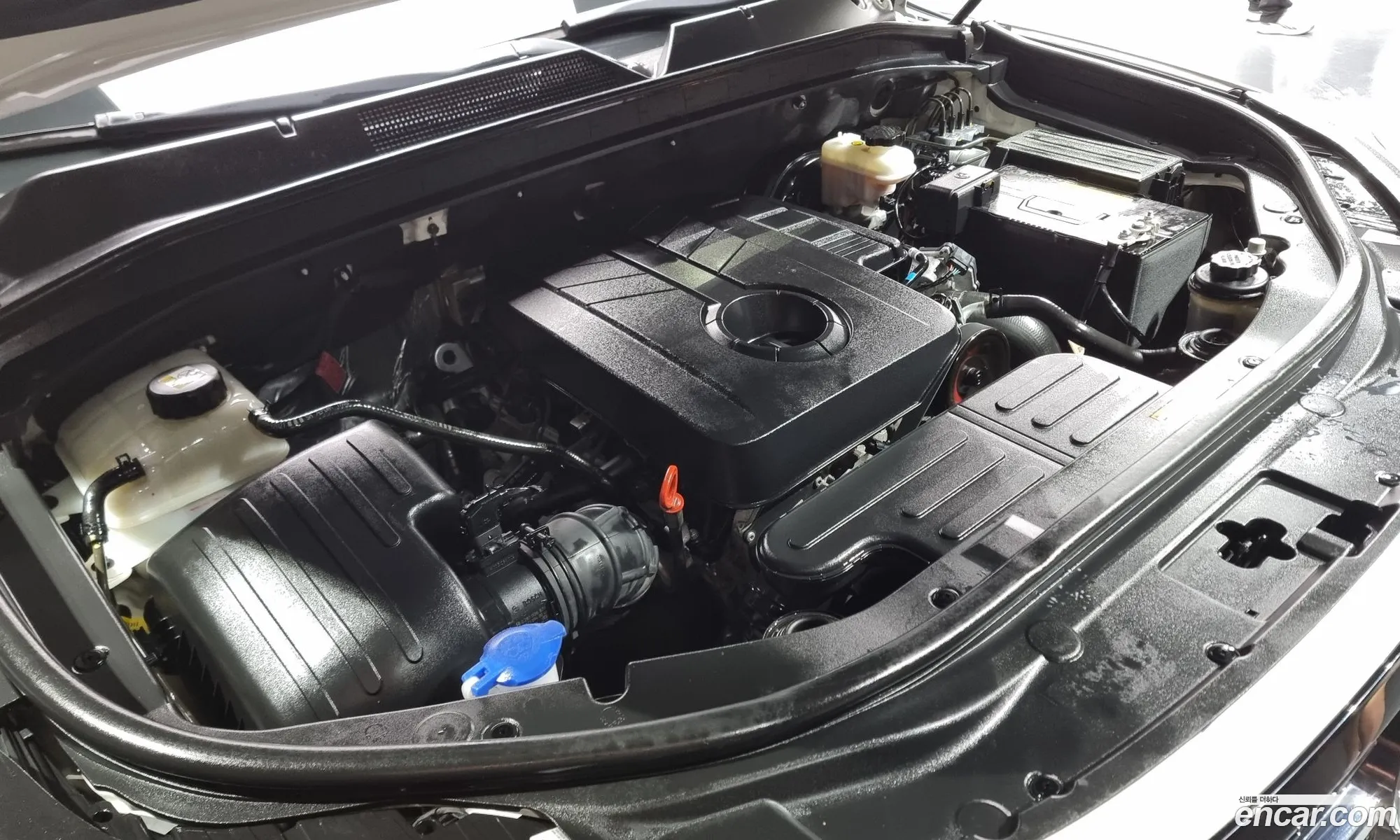 Kg Mobility Ssangyong Rexton Sports Diesel 22 4Wd Prestige - фотография 8017609