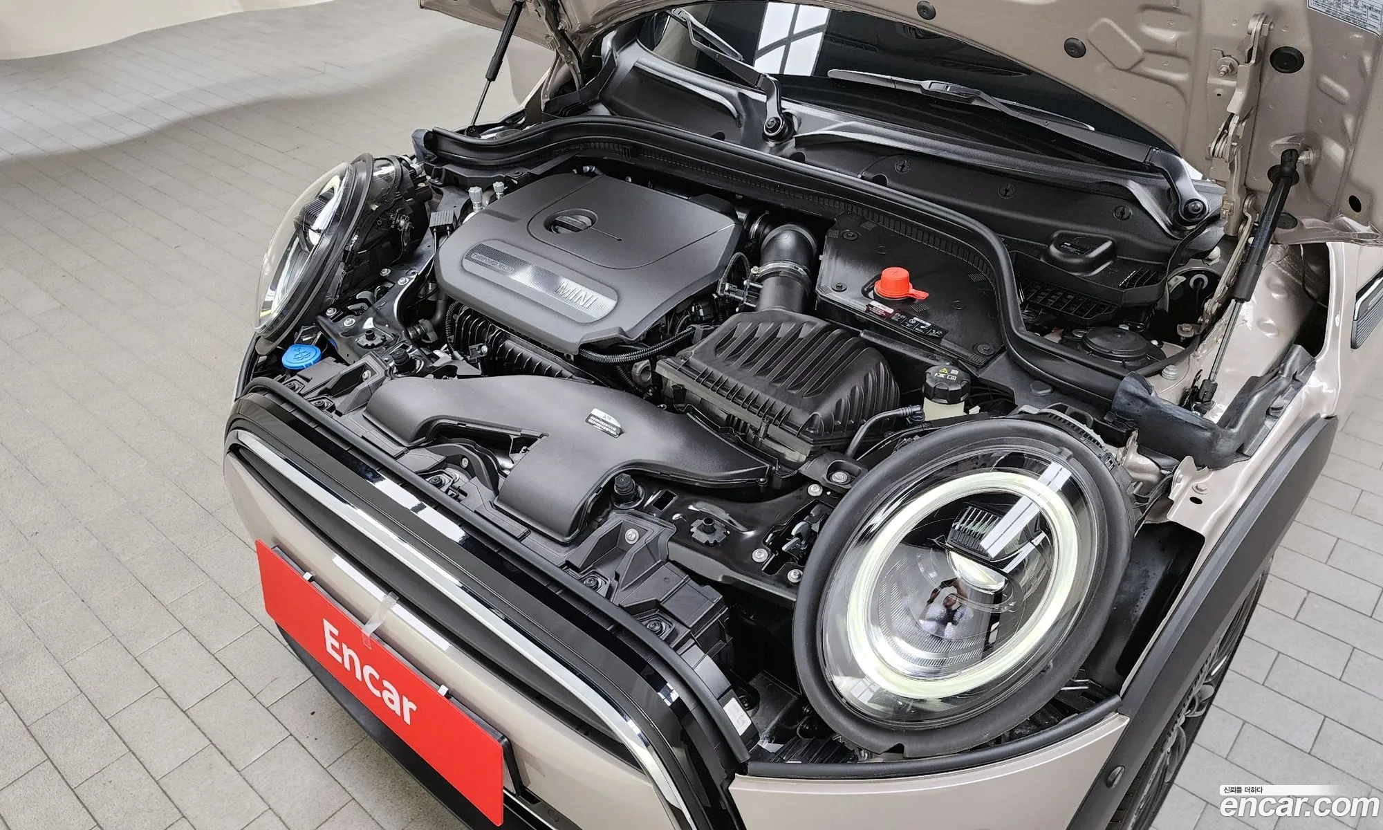 Korex Auto Trade - фотография 247215