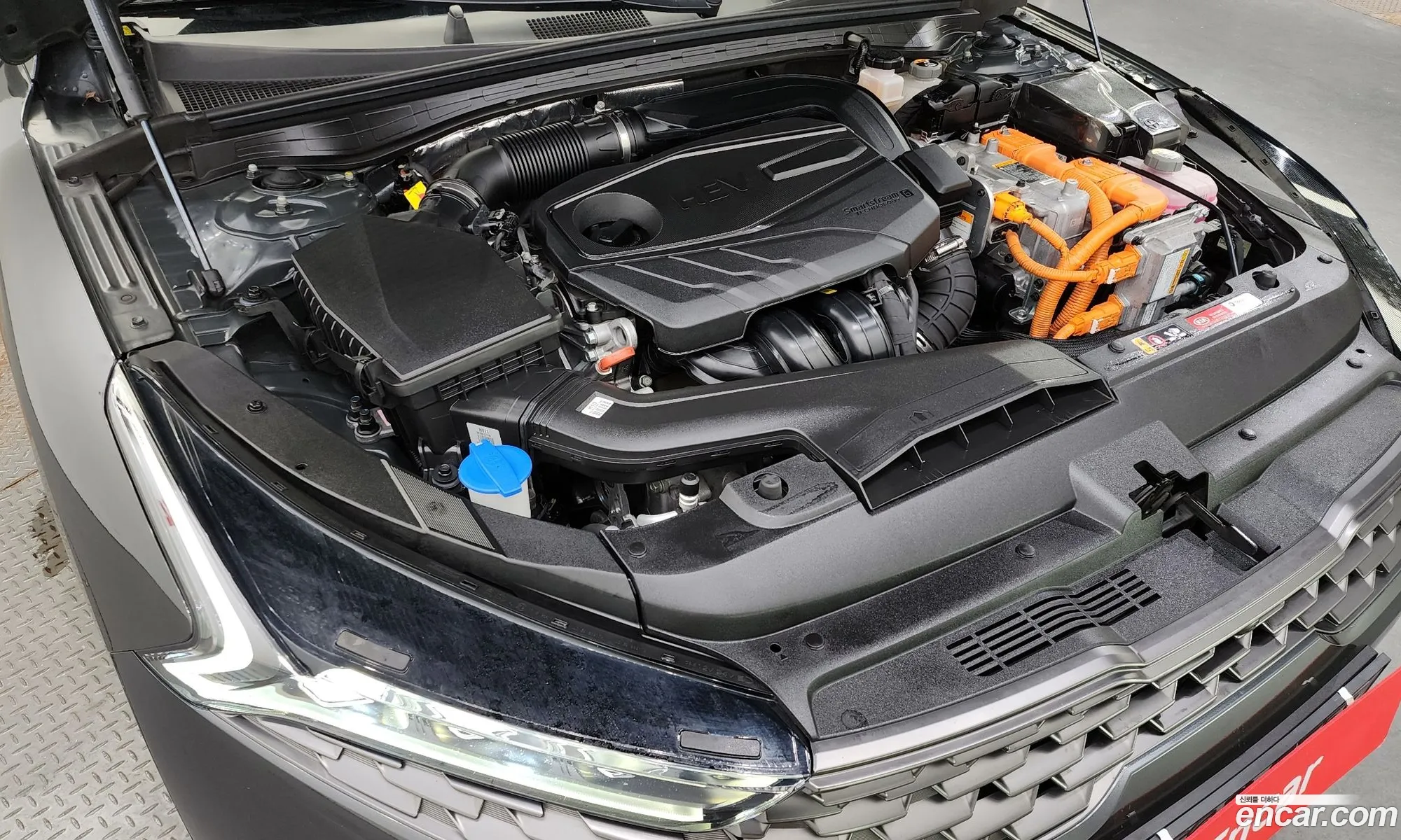 Korex Auto Trade - фотография 11180546