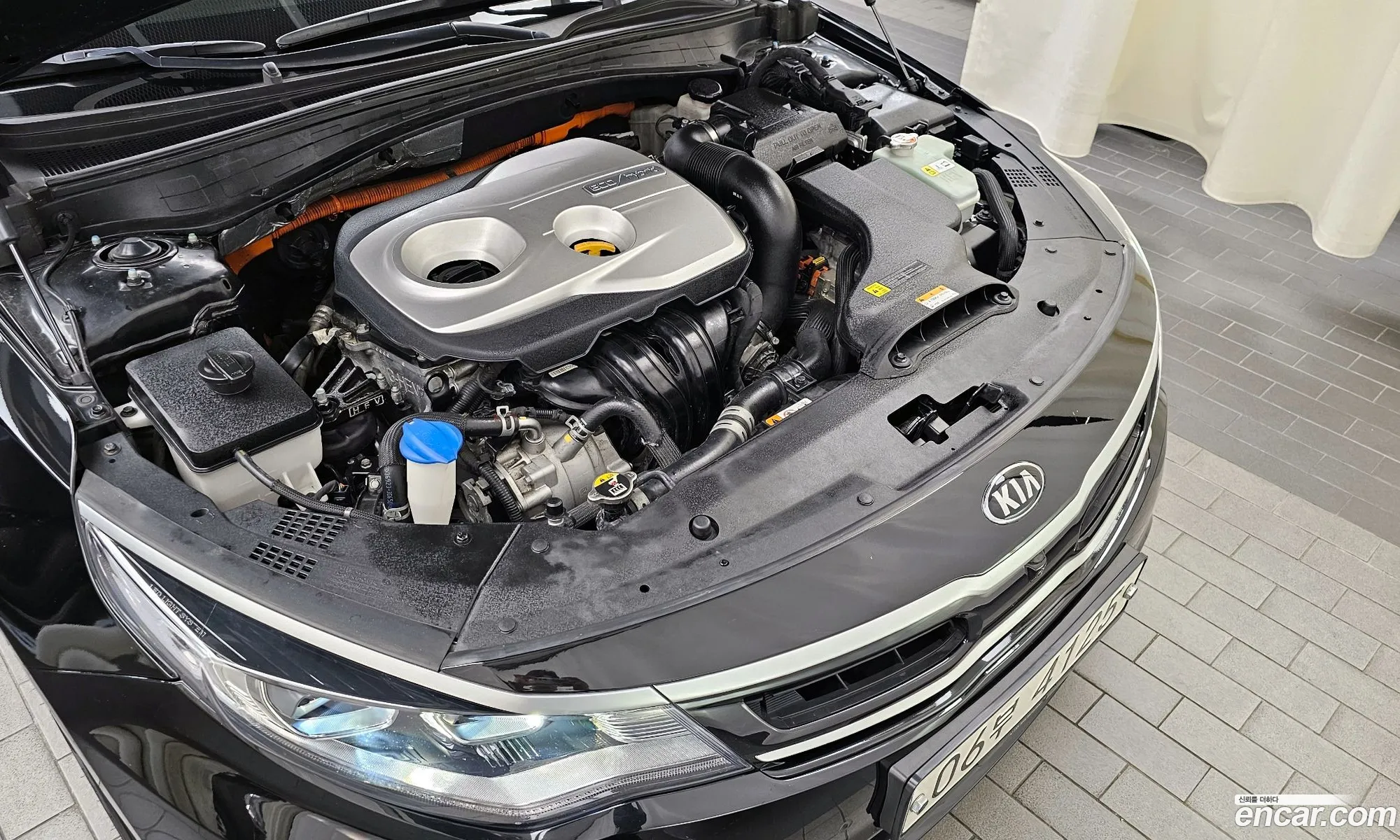 Kia The New K5 Hybrid 2Nd Generation Noblesse Special - фотография 7029