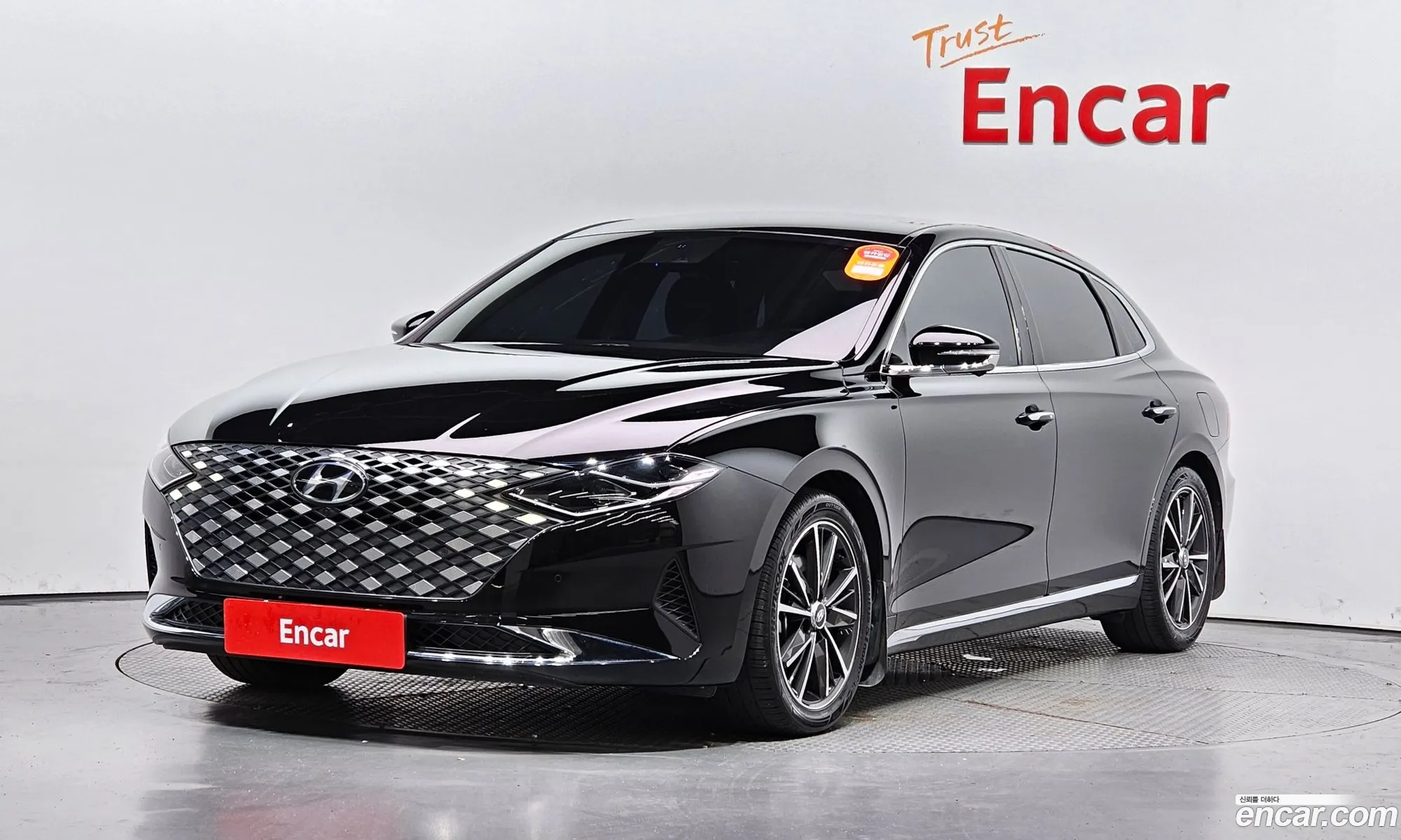 Hyundai The New Grandeur Ig 30 Lpi For The Disabled Exclusive - фотография 1993635