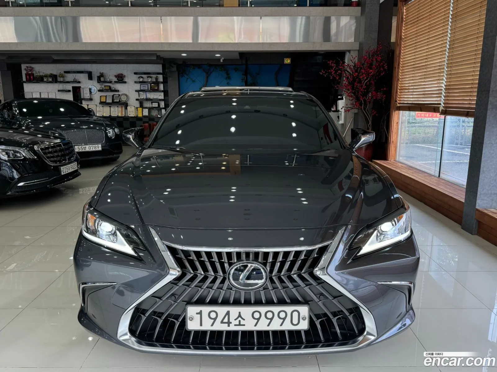 Lexus Es300H 7Th Generation Luxury Plus - фотография 6239546