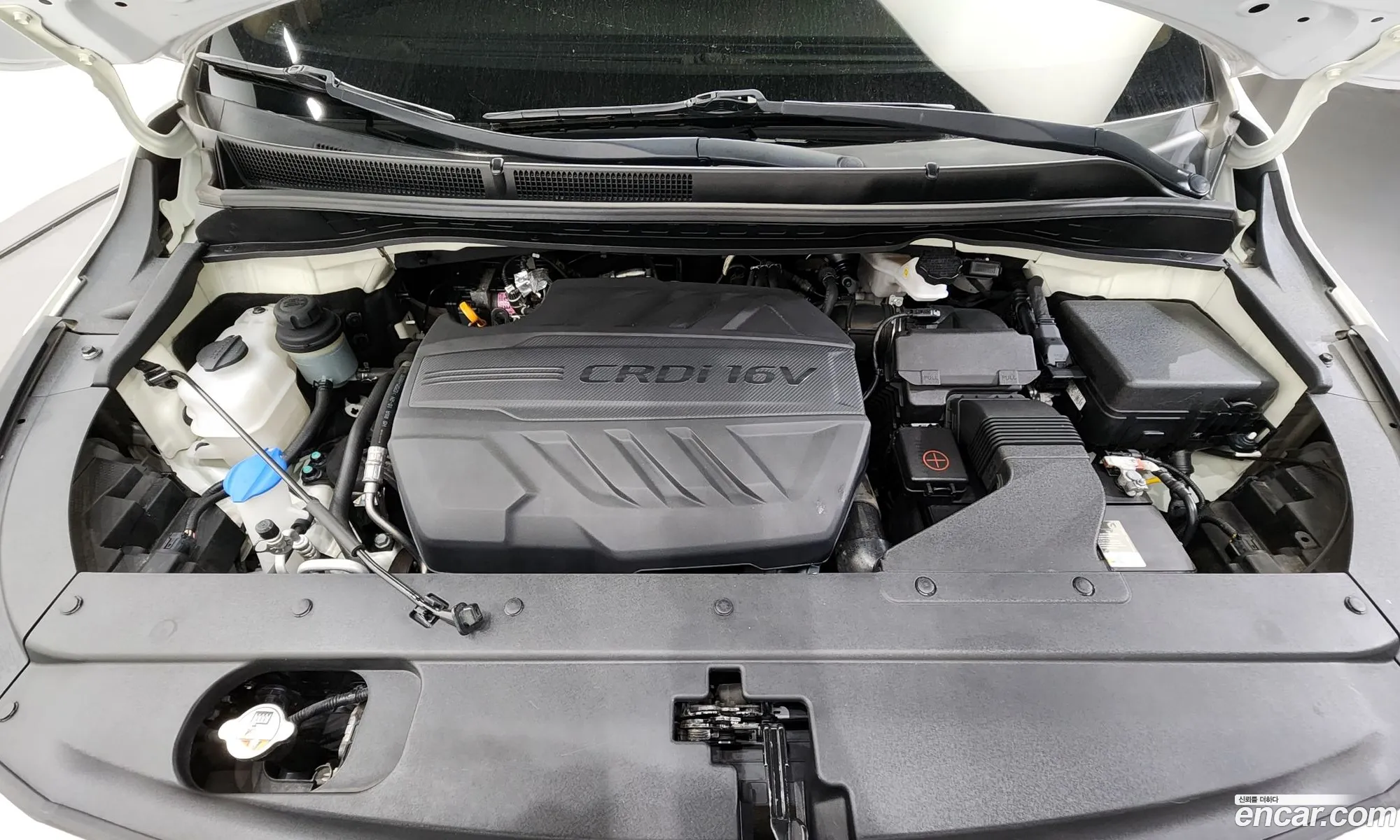 Kia The New Carnival 9-Seater Noblesse Special - фотография 1693989
