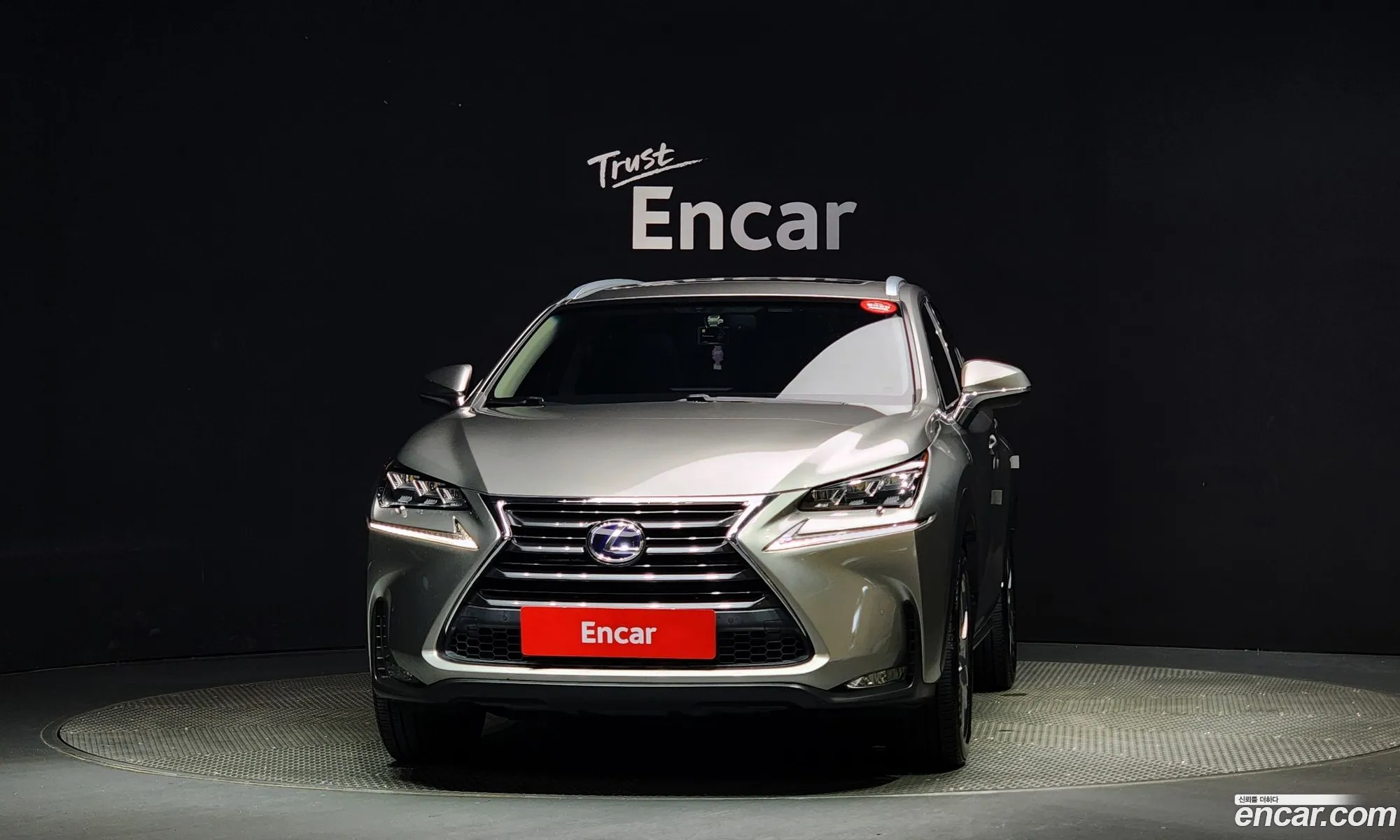 Lexus Nx300H Supreme - фотография 6239534