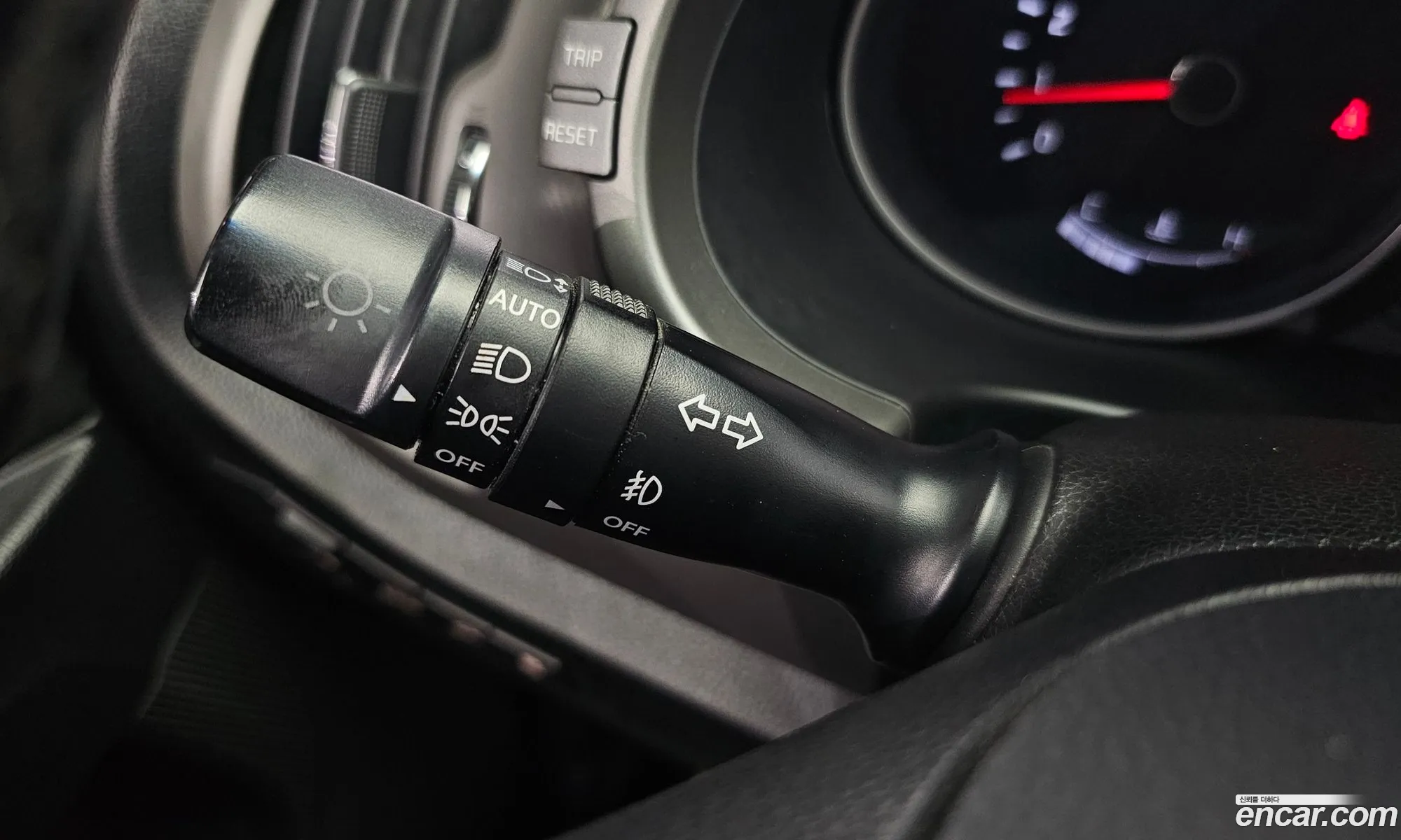 Korex Auto Trade - фотография 947746