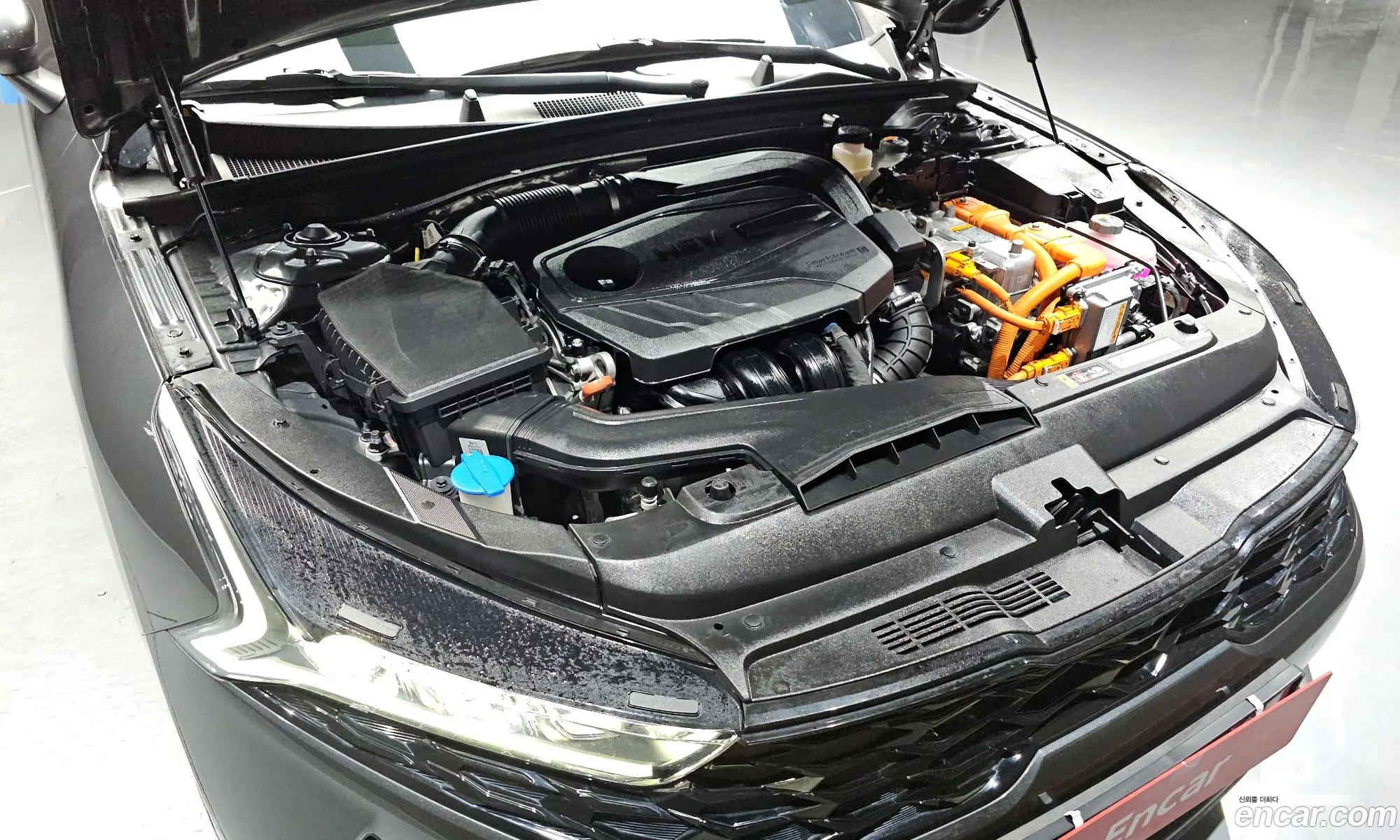 Kia K5 Hybrid 3Rd Generation Signature - фотография 1684420