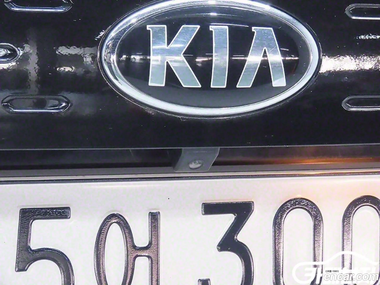 Korex Auto Trade - фотография 967887
