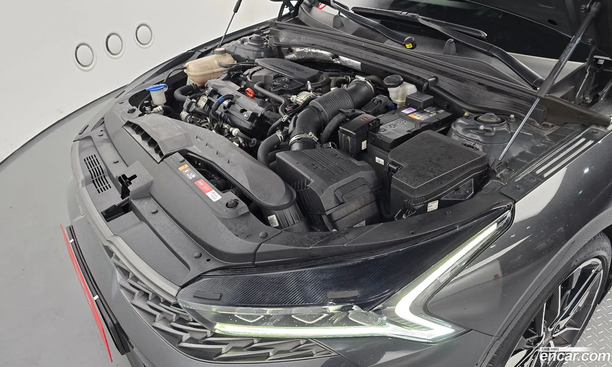Kia K5 3Rd Generation 16 Turbo Signature - фотография 1730455
