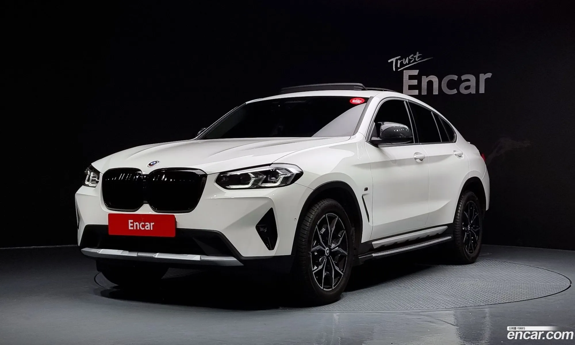 BMW X4 G02 xDrive20I Xline - фотография 15413708
