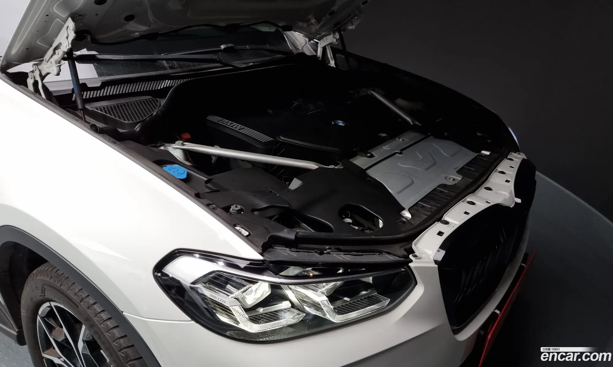 BMW X4 G02 xDrive20I Xline - фотография 15413713