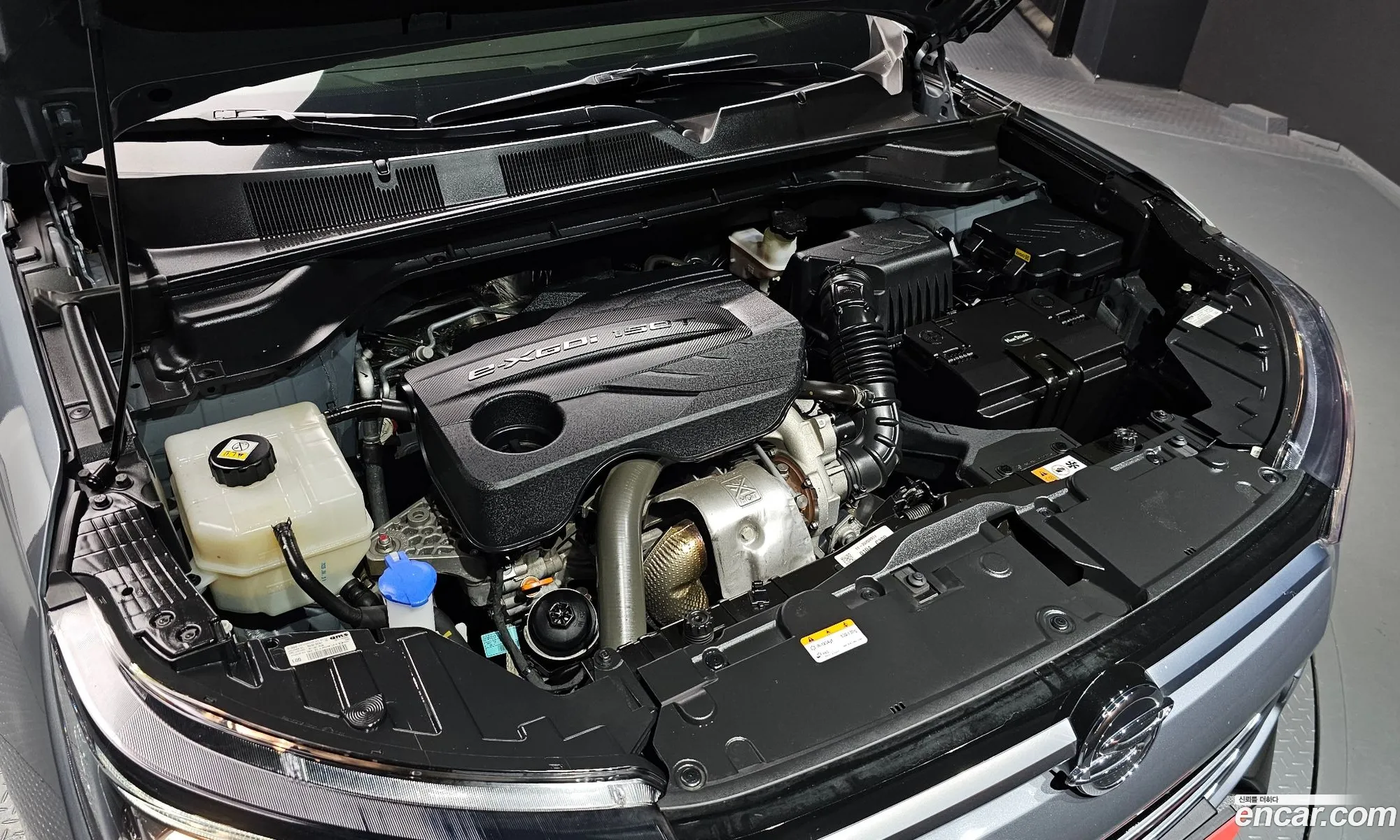Kg Mobility Ssangyong Beautiful Korando Gasoline 15 2Wd C5 Plus - фотография 8390456