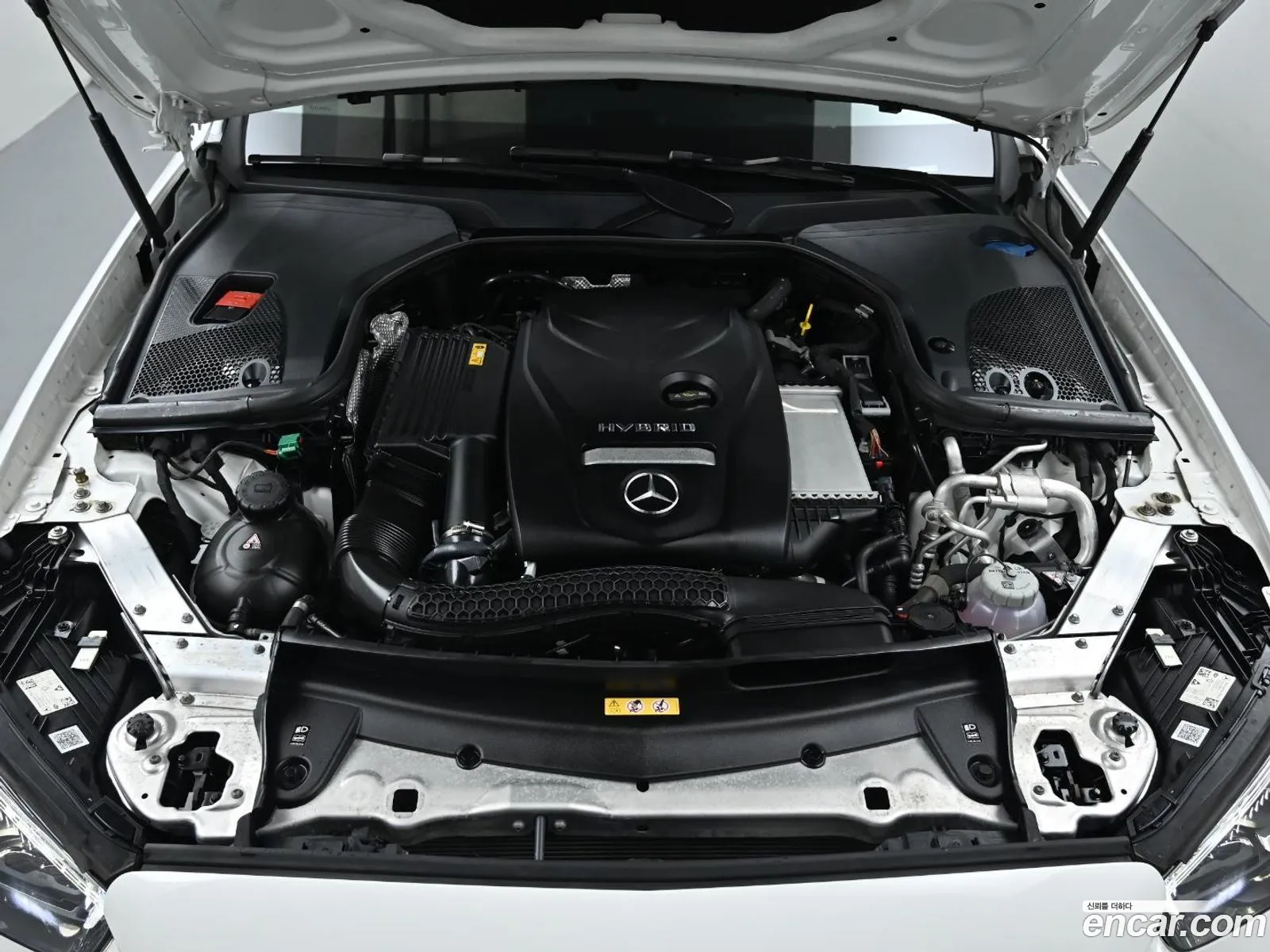 Korex Auto Trade - фотография 12030601