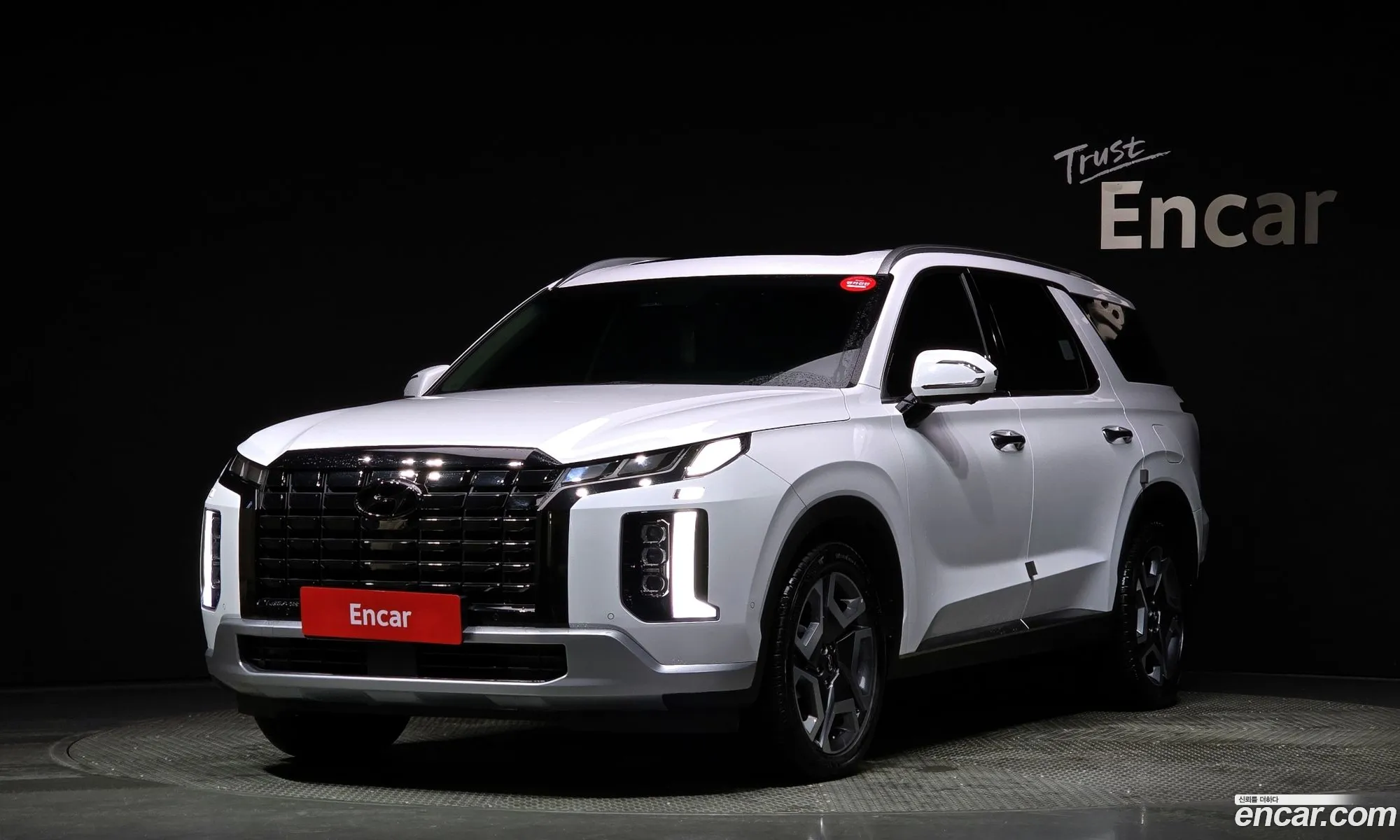 Hyundai The New Palisade Diesel 22 4Wd Leblanc - фотография 1986232