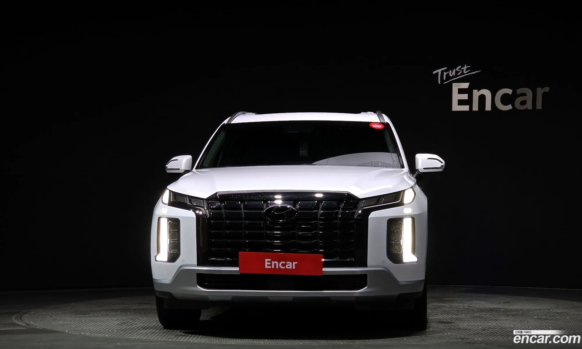 Hyundai The New Palisade Diesel 22 4Wd Leblanc - фотография 1986234