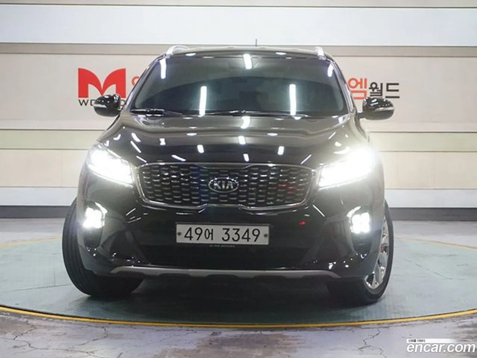 The New Sorento Diesel 22 2Wd Noblesse Special - фотография 1736813