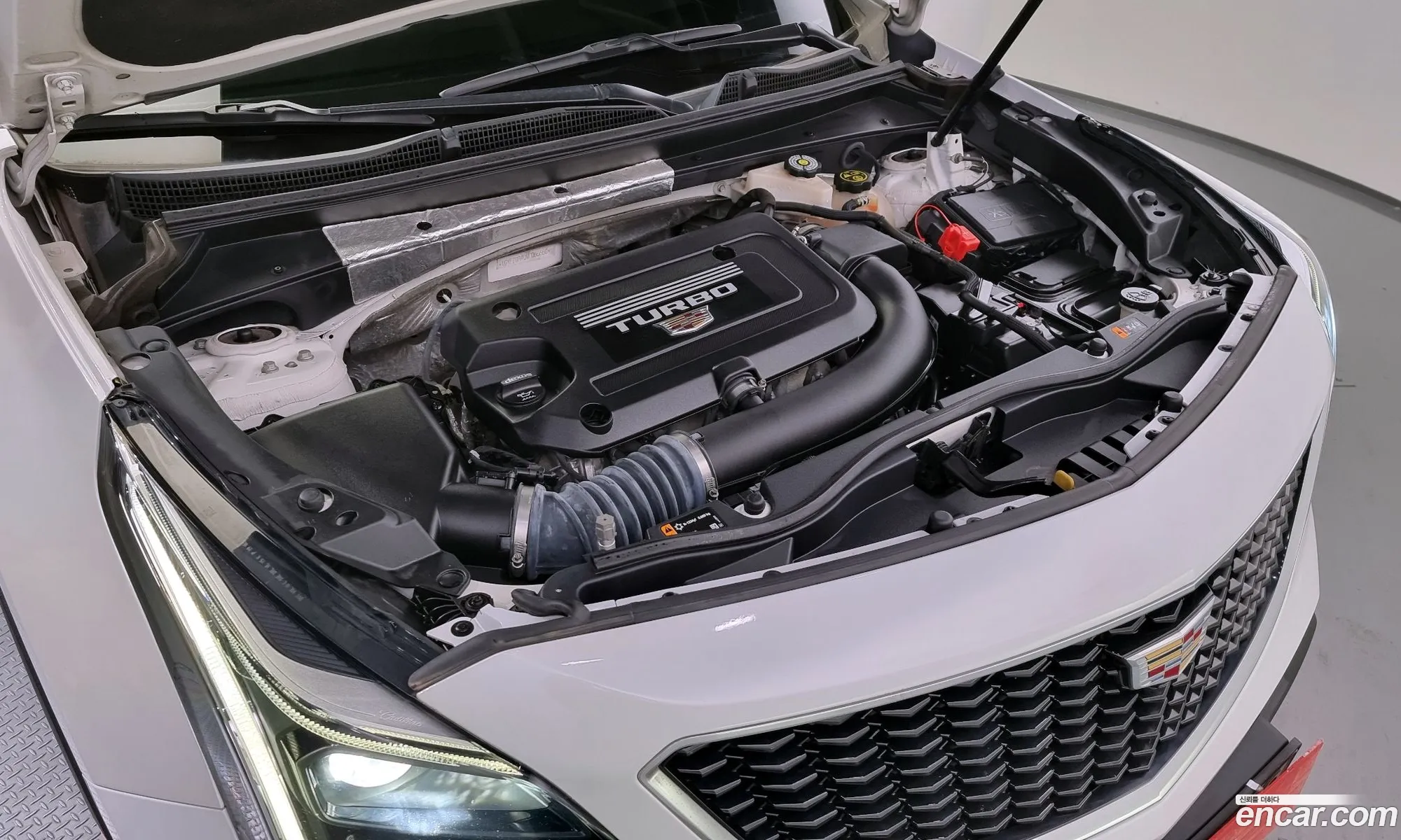 Cadillac Xt4 20 Sports Awd - фотография 4848492