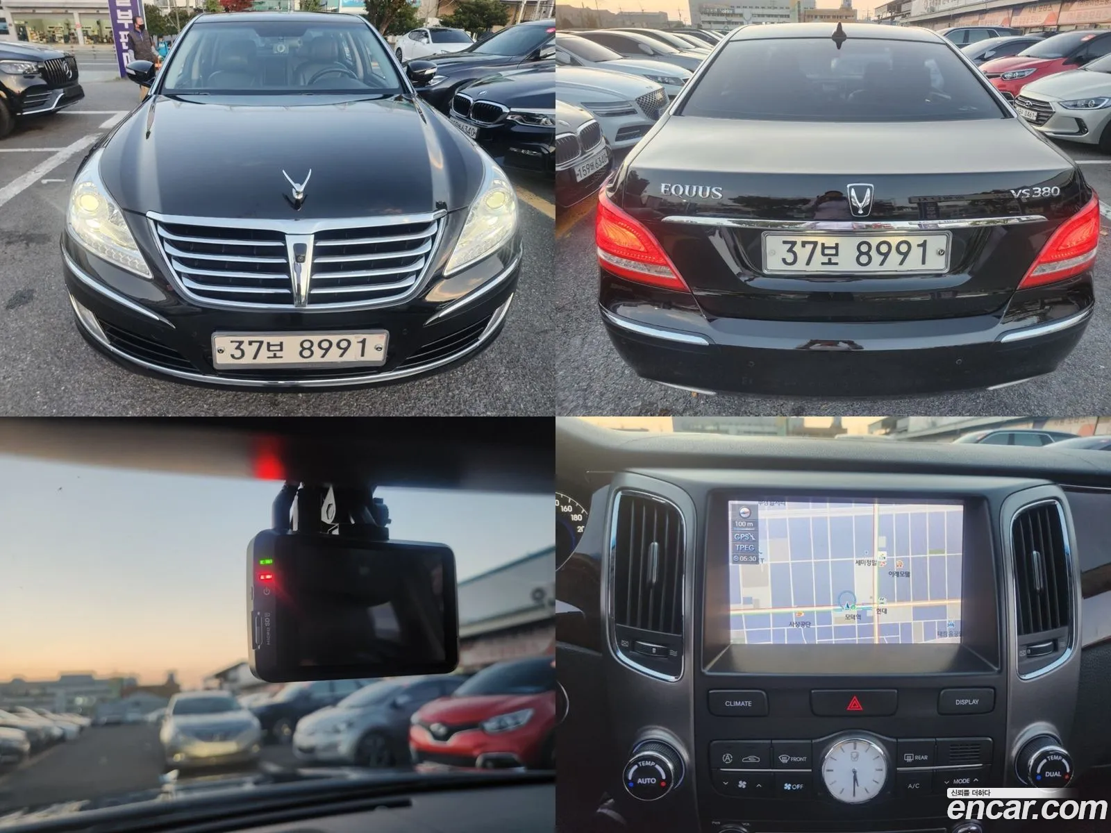 Equus New Vs380 Prime - фотография 16193290