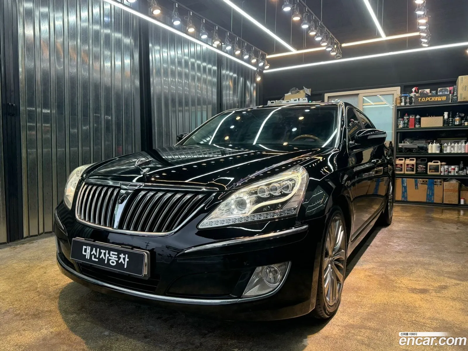 Equus New Model Vs380 Prestige Vvip Pack - фотография 13647322