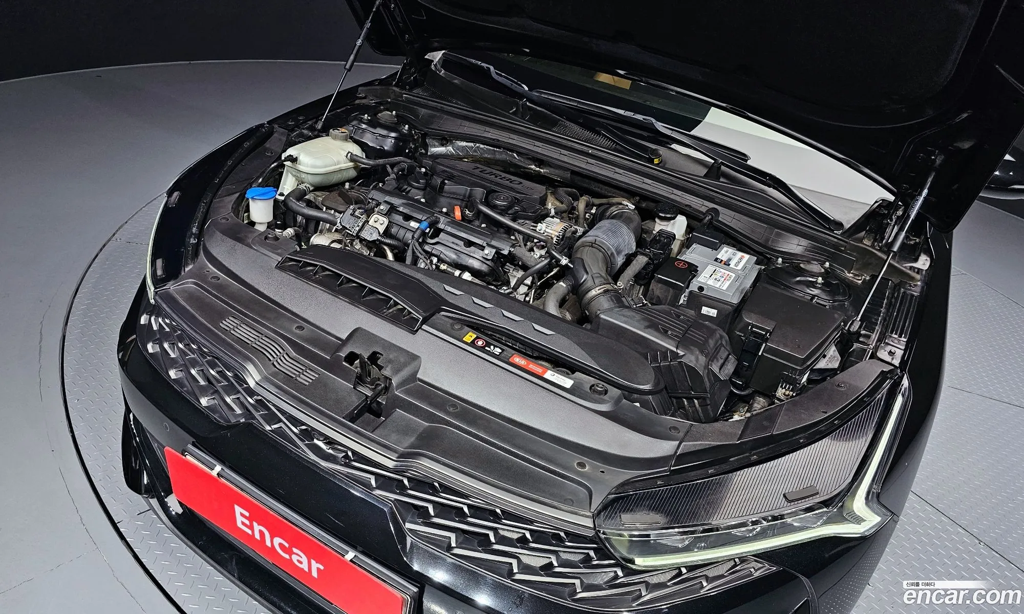 Korex Auto Trade - фотография 11269400