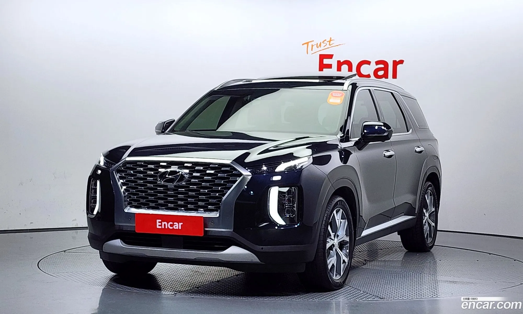 Hyundai Palisade I Diesel 22 2Wd 2020 - фотография 13647394