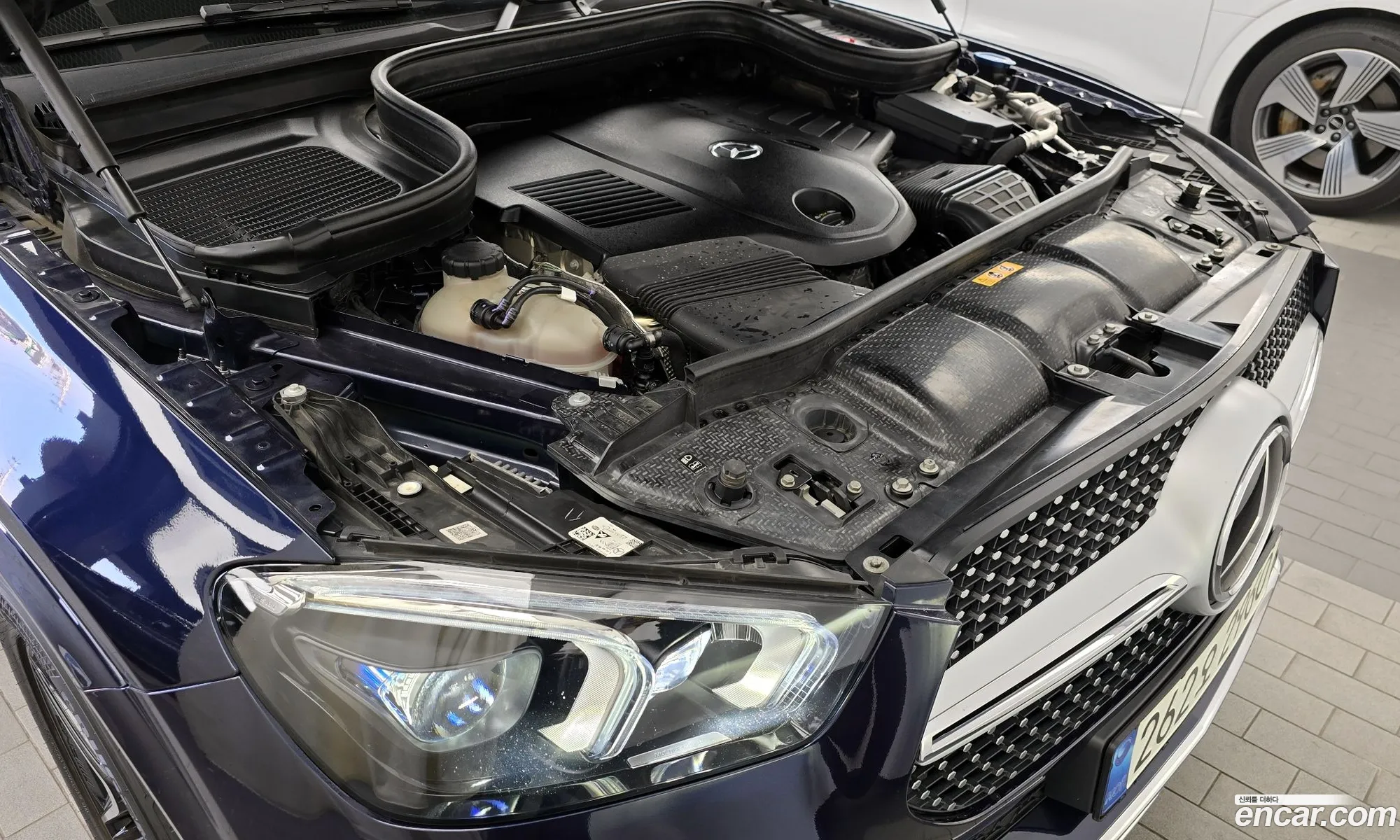 Korex Auto Trade - фотография 7558600
