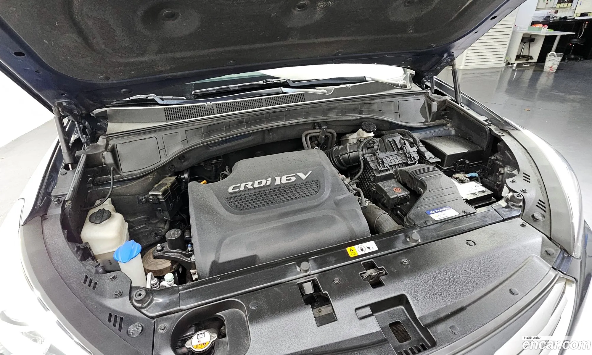 Korex Auto Trade - фотография 12494861