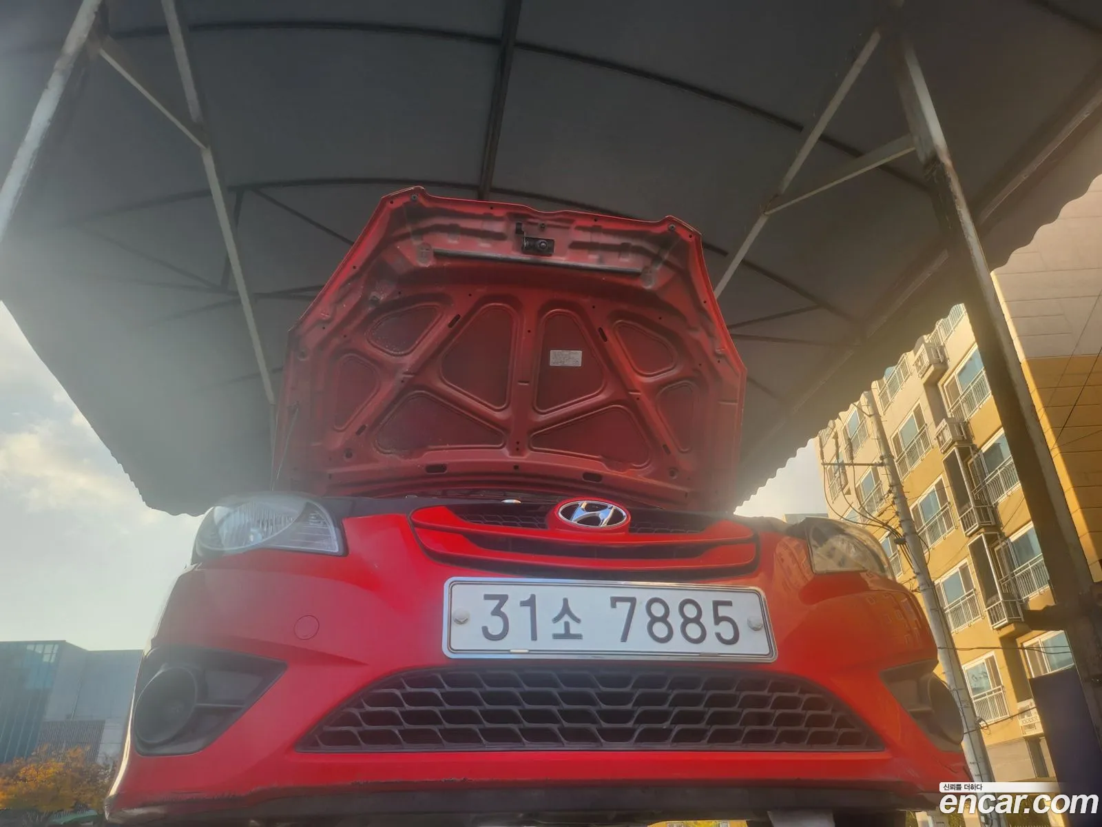 Korex Auto Trade - фотография 13225932