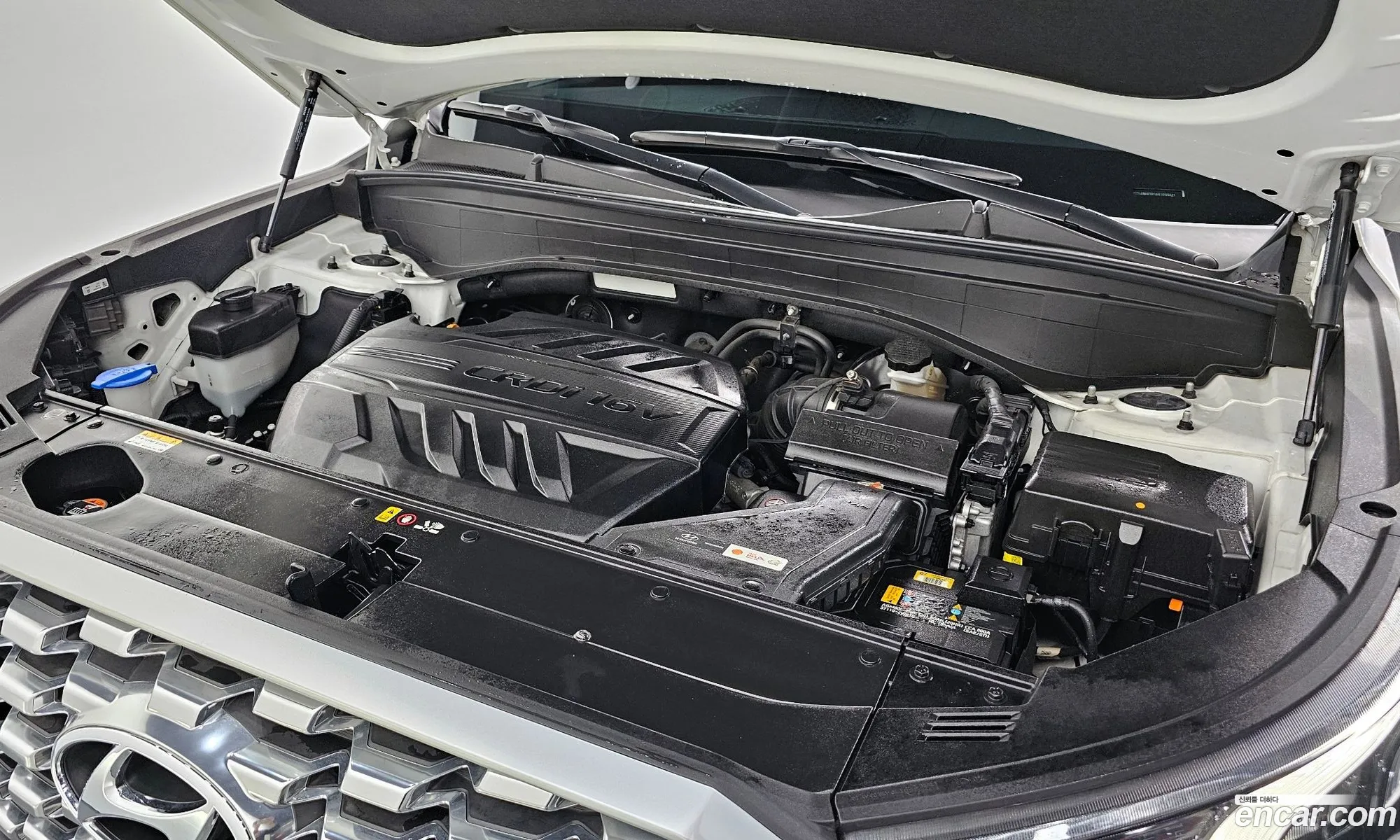 Korex Auto Trade - фотография 11804968