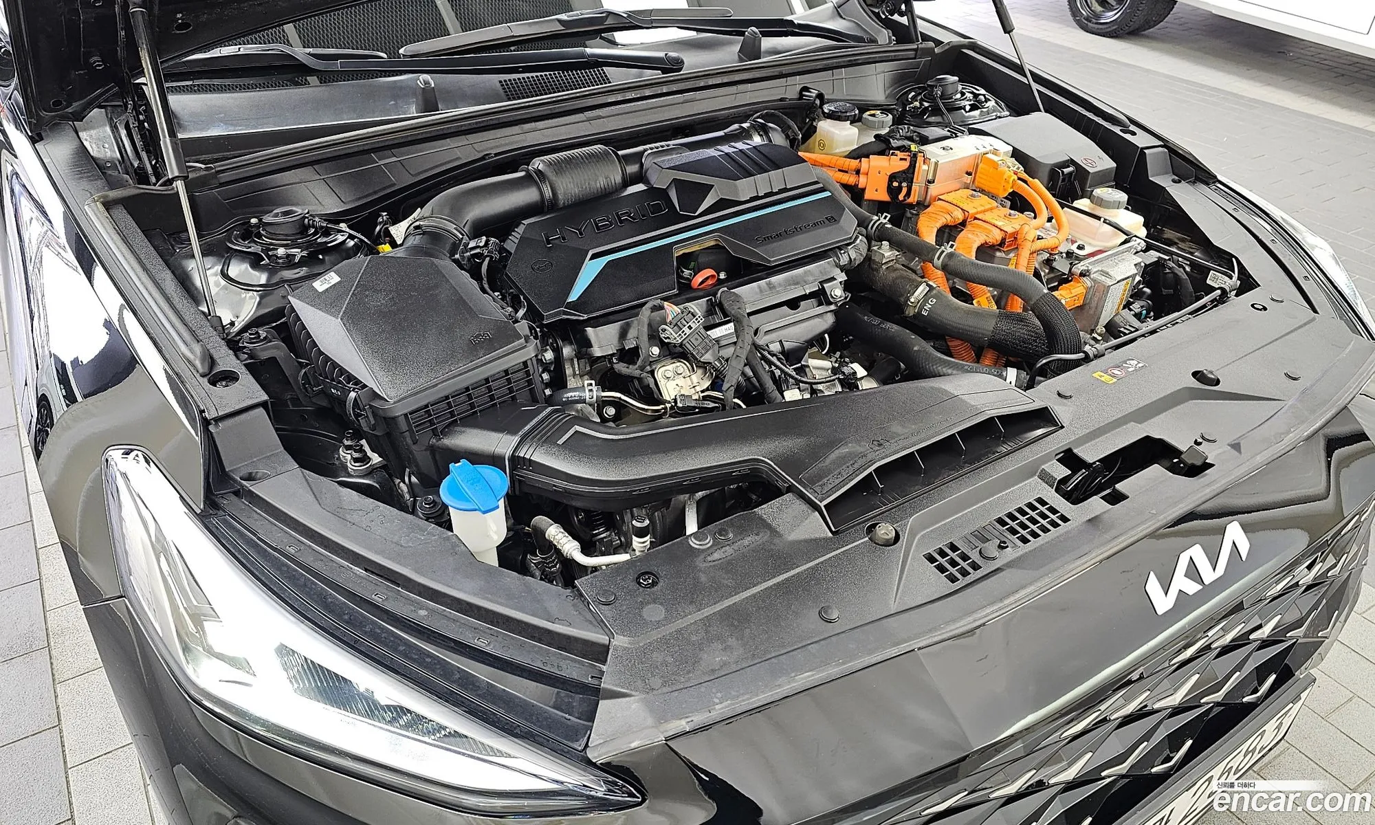 Korex Auto Trade - фотография 15777832