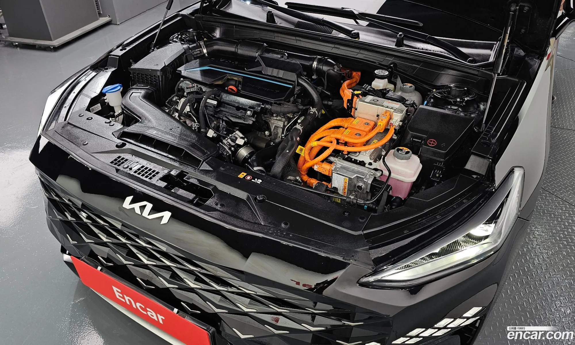 Korex Auto Trade - фотография 16205052