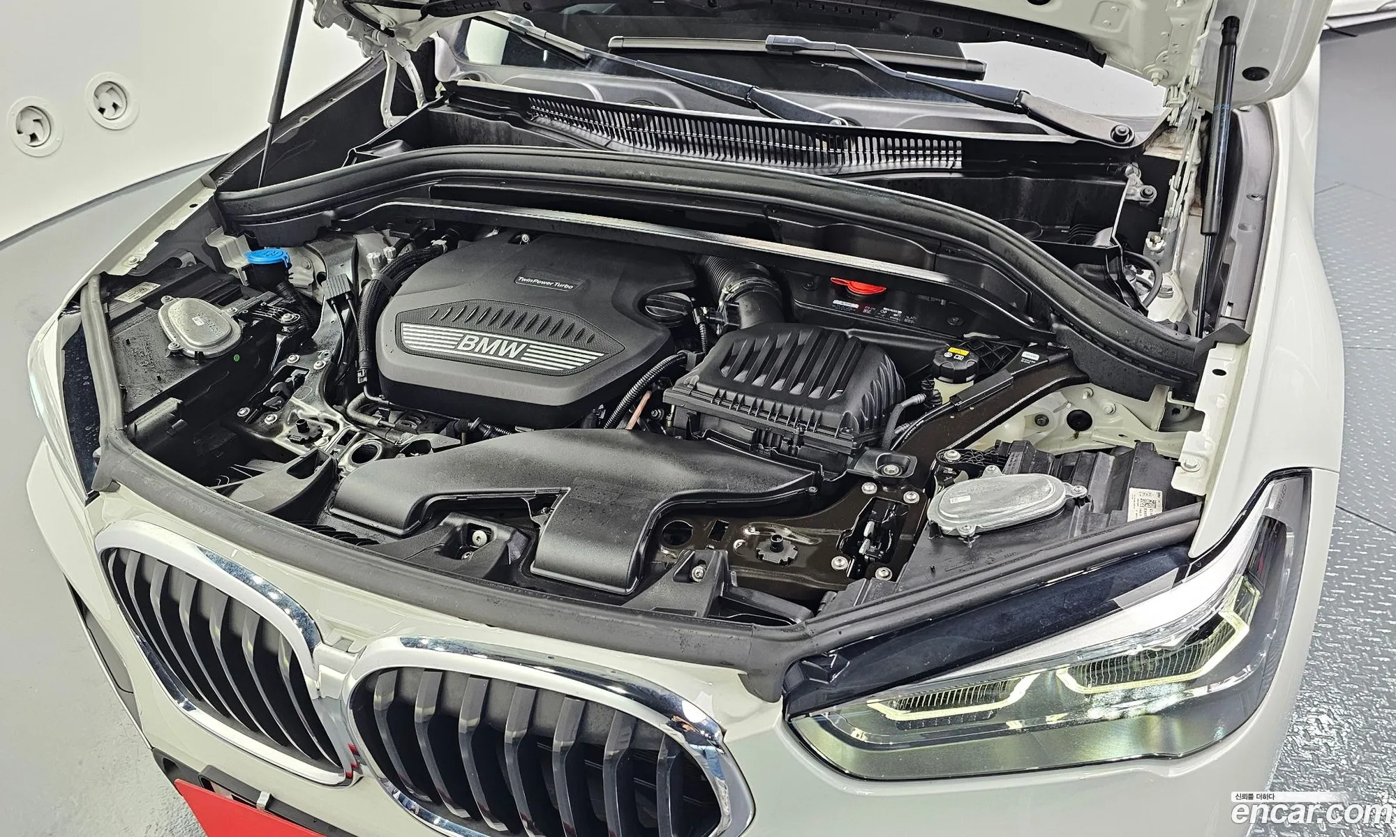 Korex Auto Trade - фотография 2341379