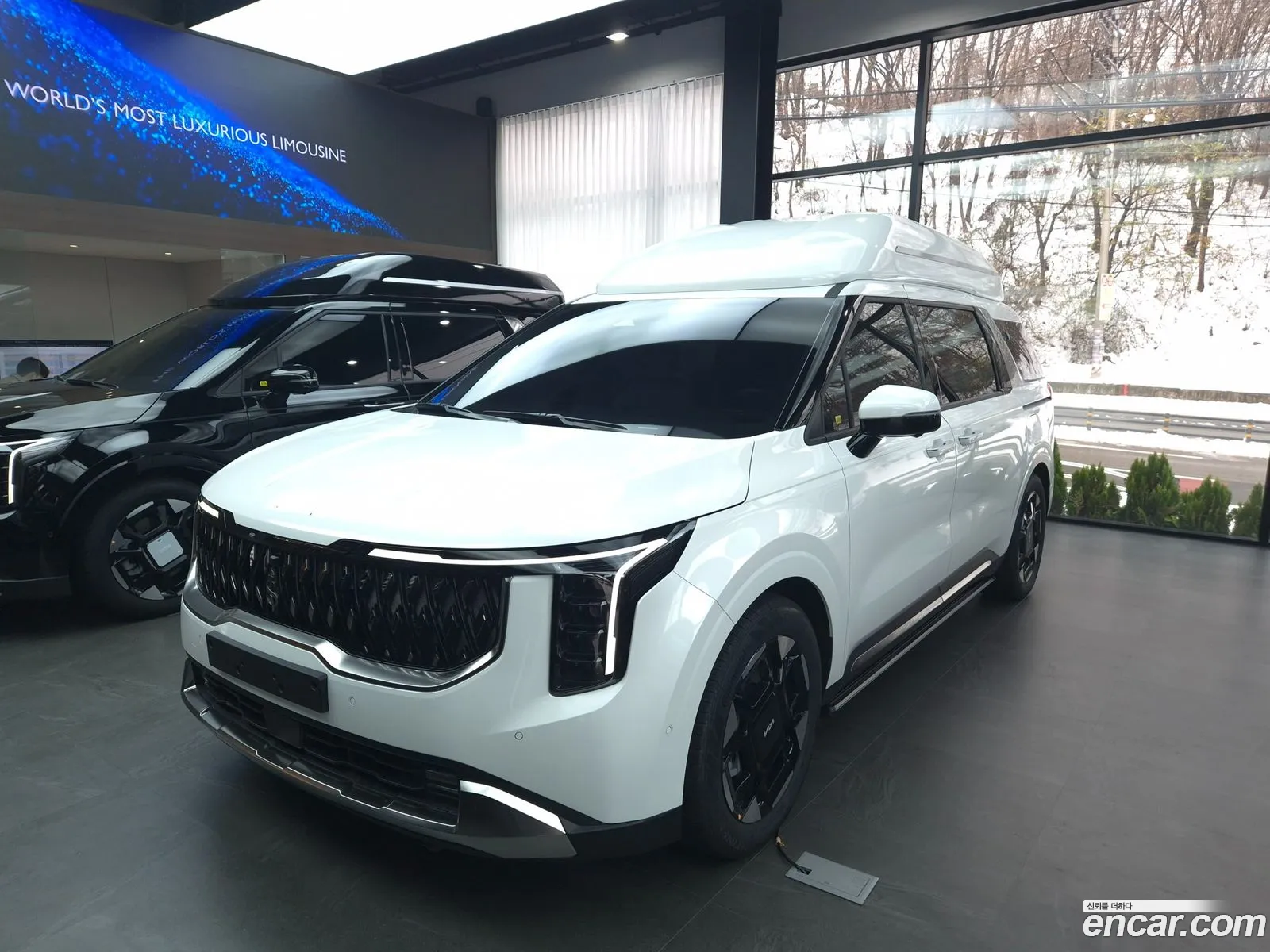The New Carnival 4Th Generation Gasoline 9 -Seater High Rimmujin Special Company - фотография 15737558