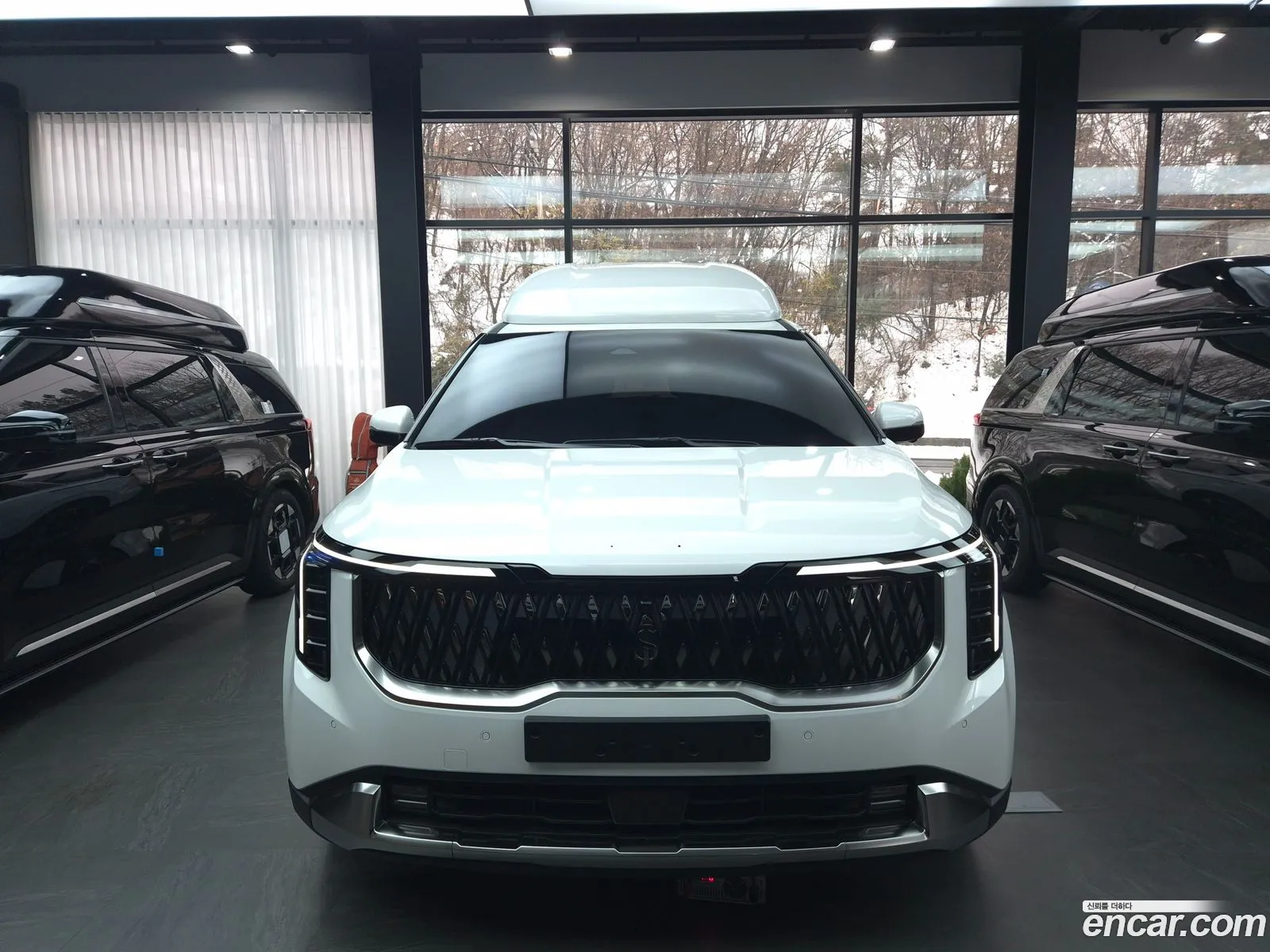 Korex Auto Trade - фотография 15801548