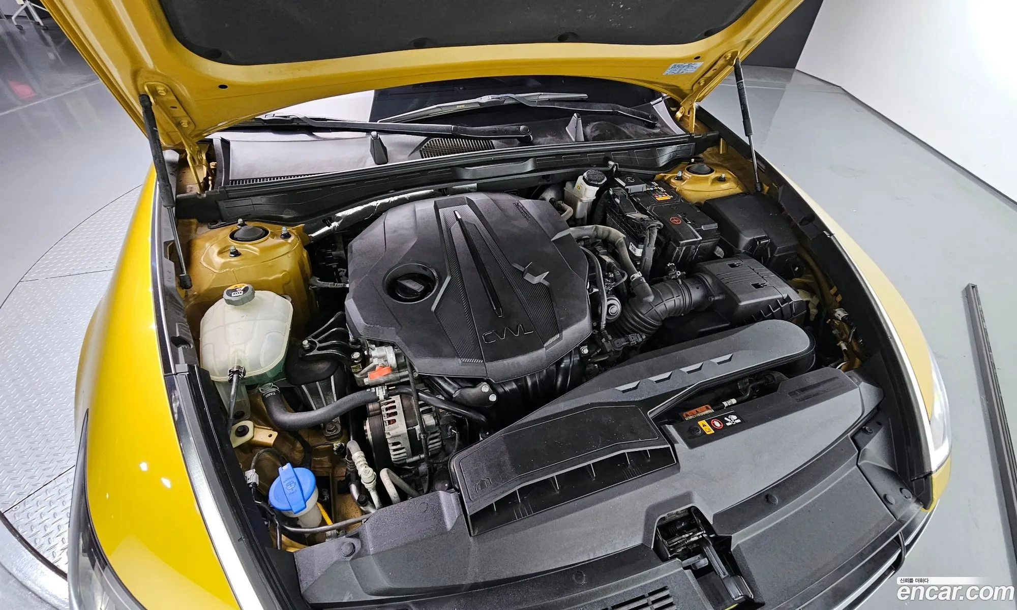 Korex Auto Trade - фотография 11376639