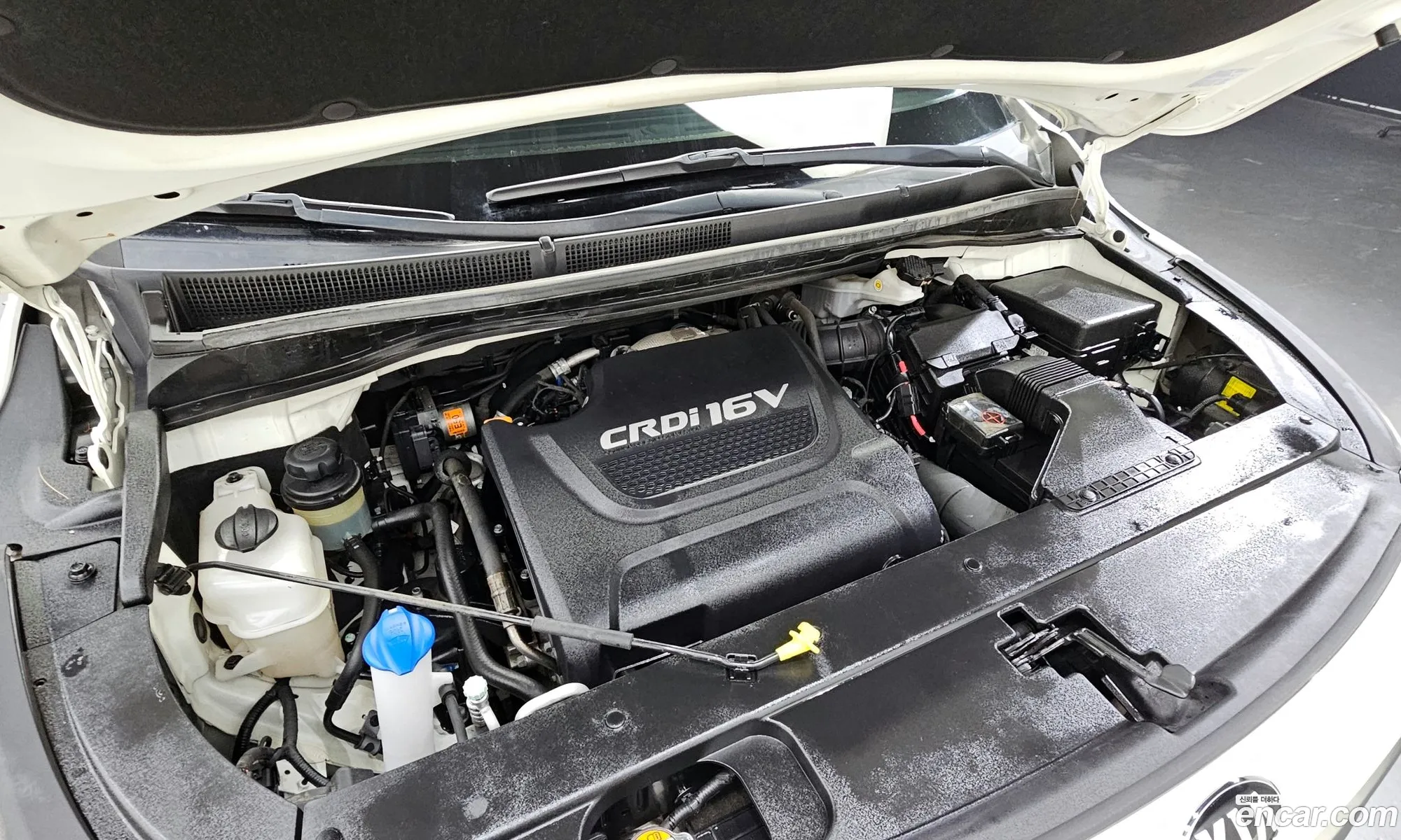 Korex Auto Trade - фотография 1586024