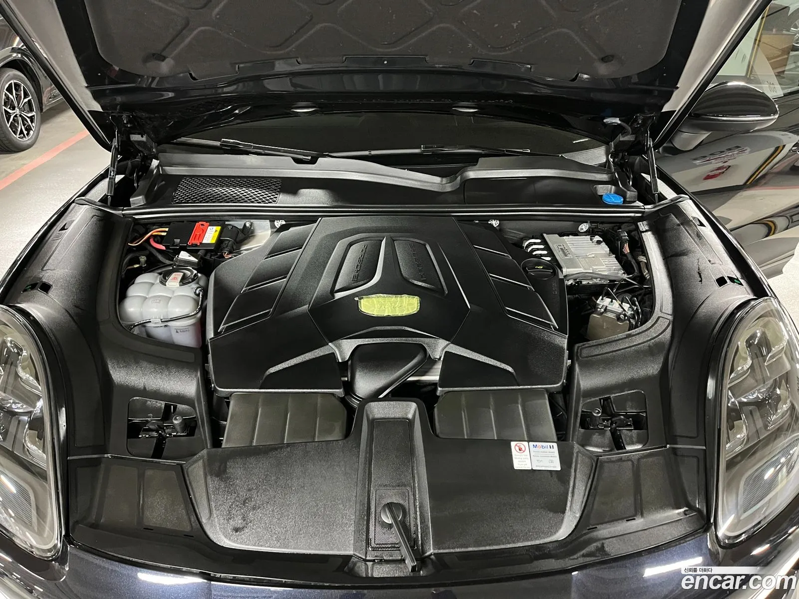 Korex Auto Trade - фотография 4765344
