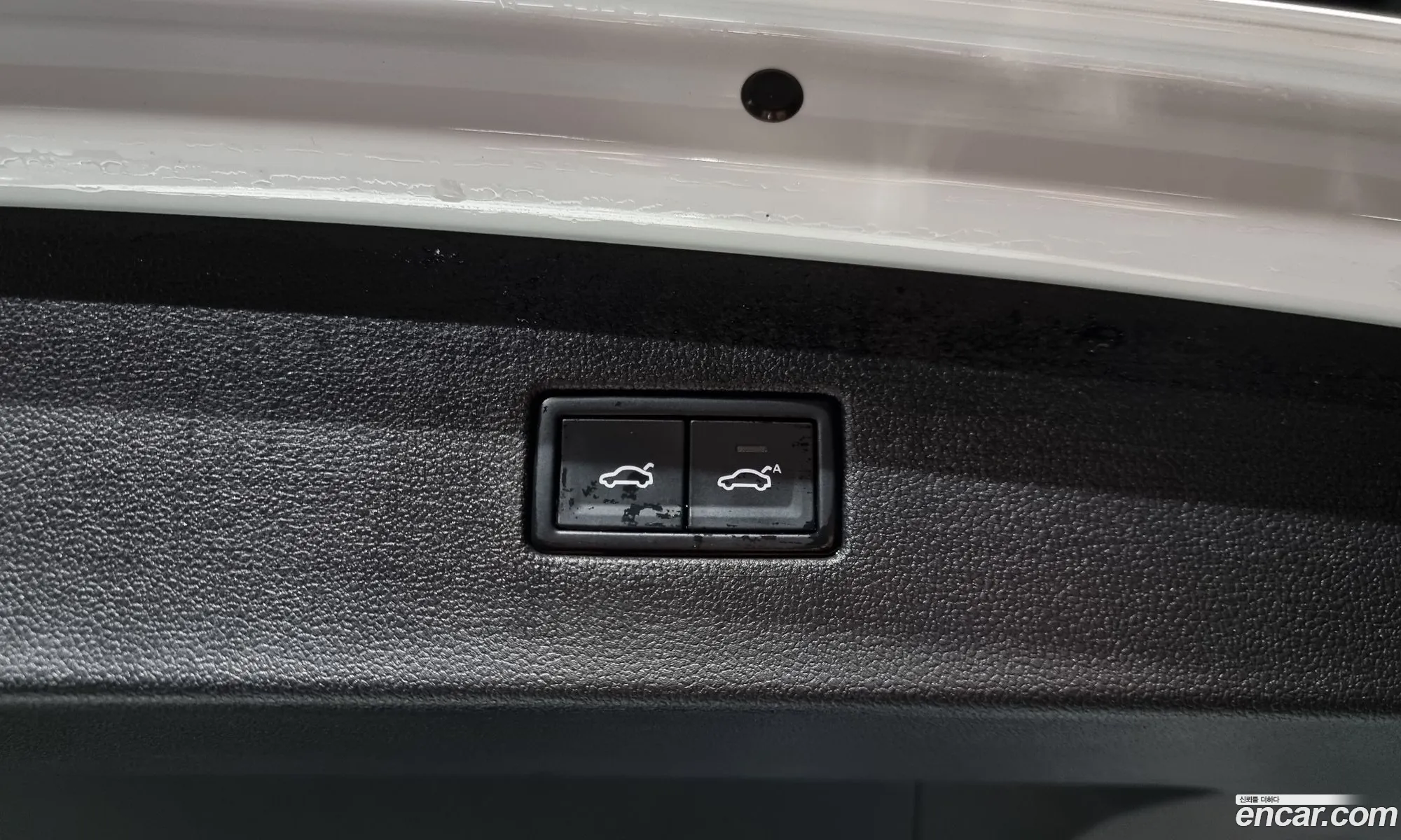 Tiguan All Space 20 Tdi Prestige - фотография 4801358