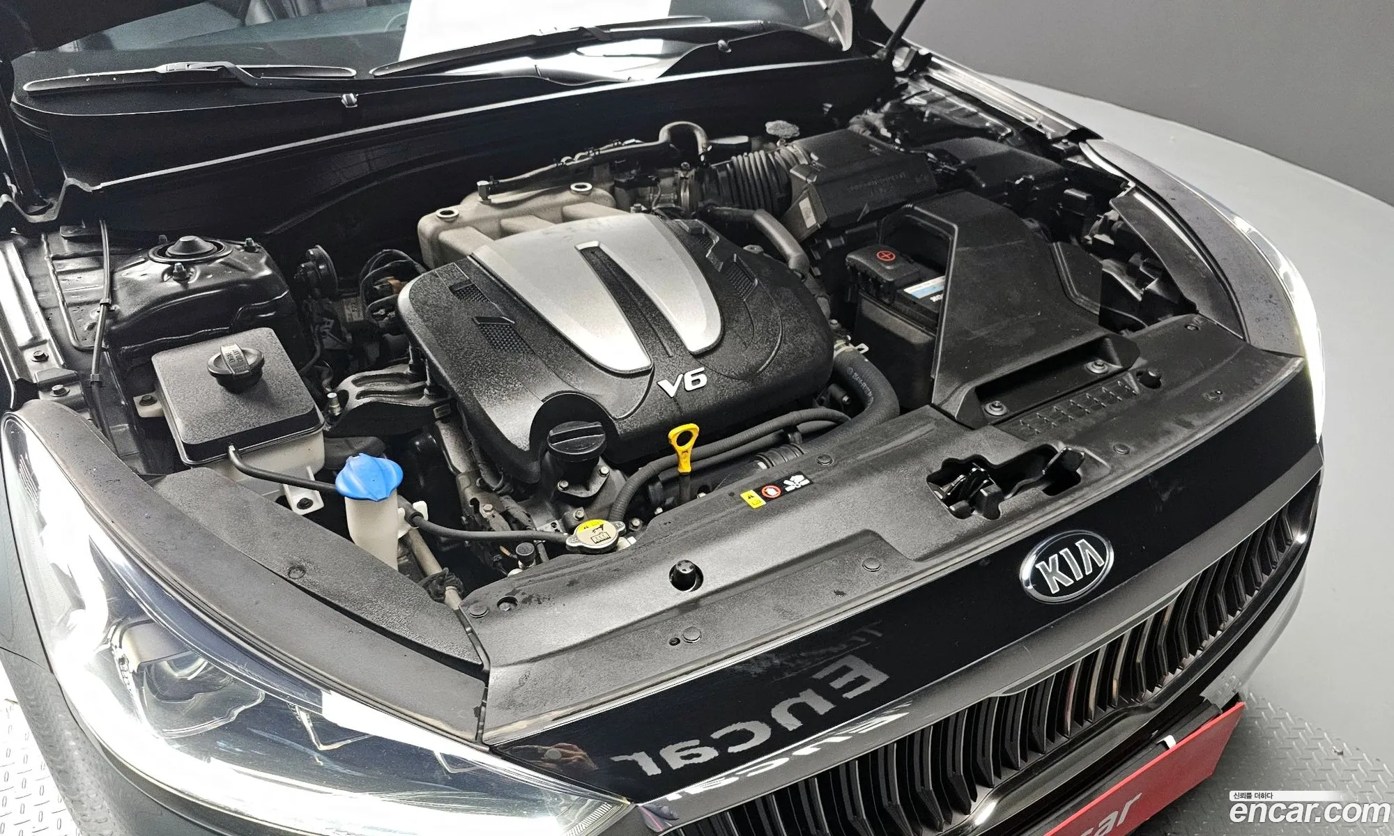 Korex Auto Trade - фотография 11223969