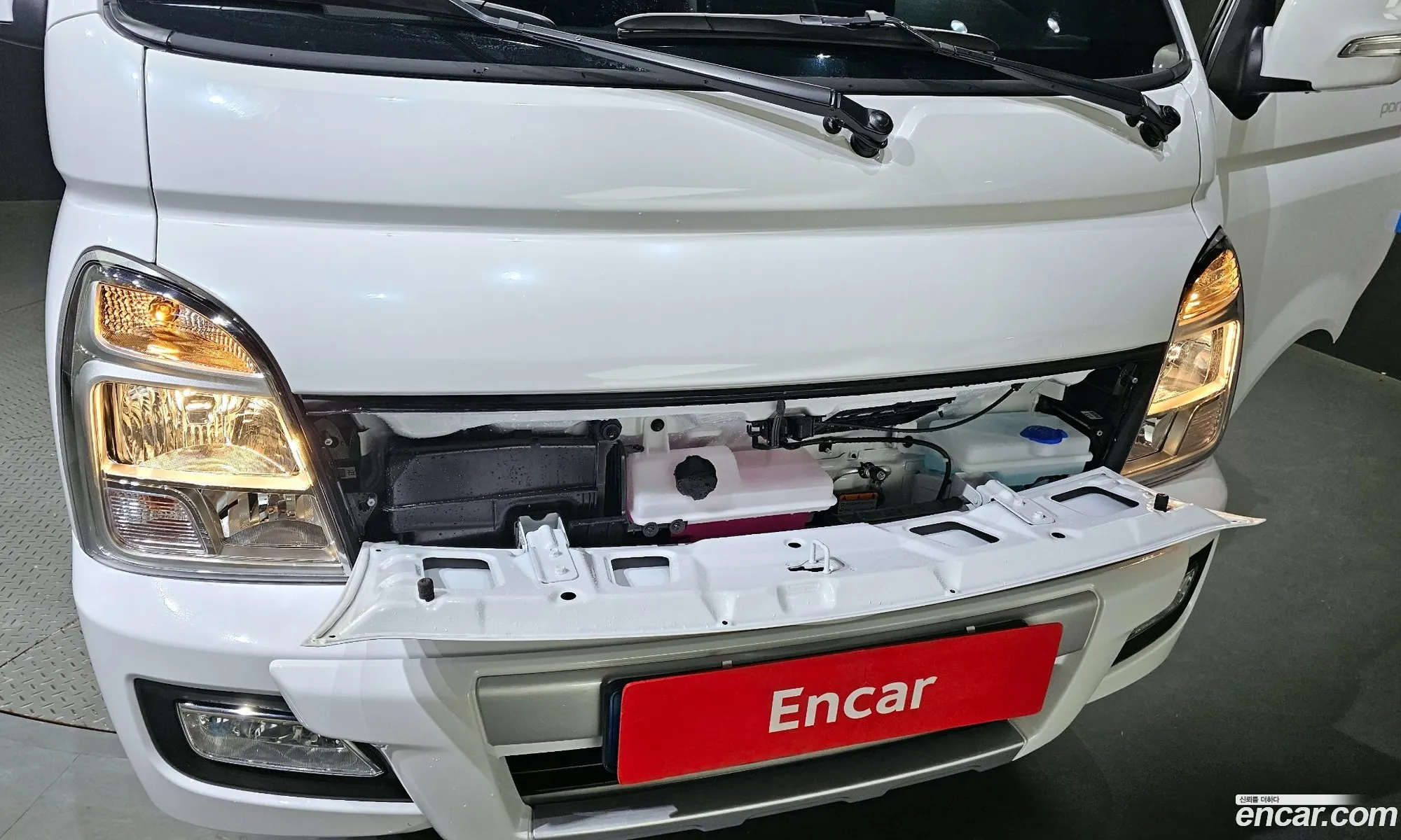 Korex Auto Trade - фотография 11342504