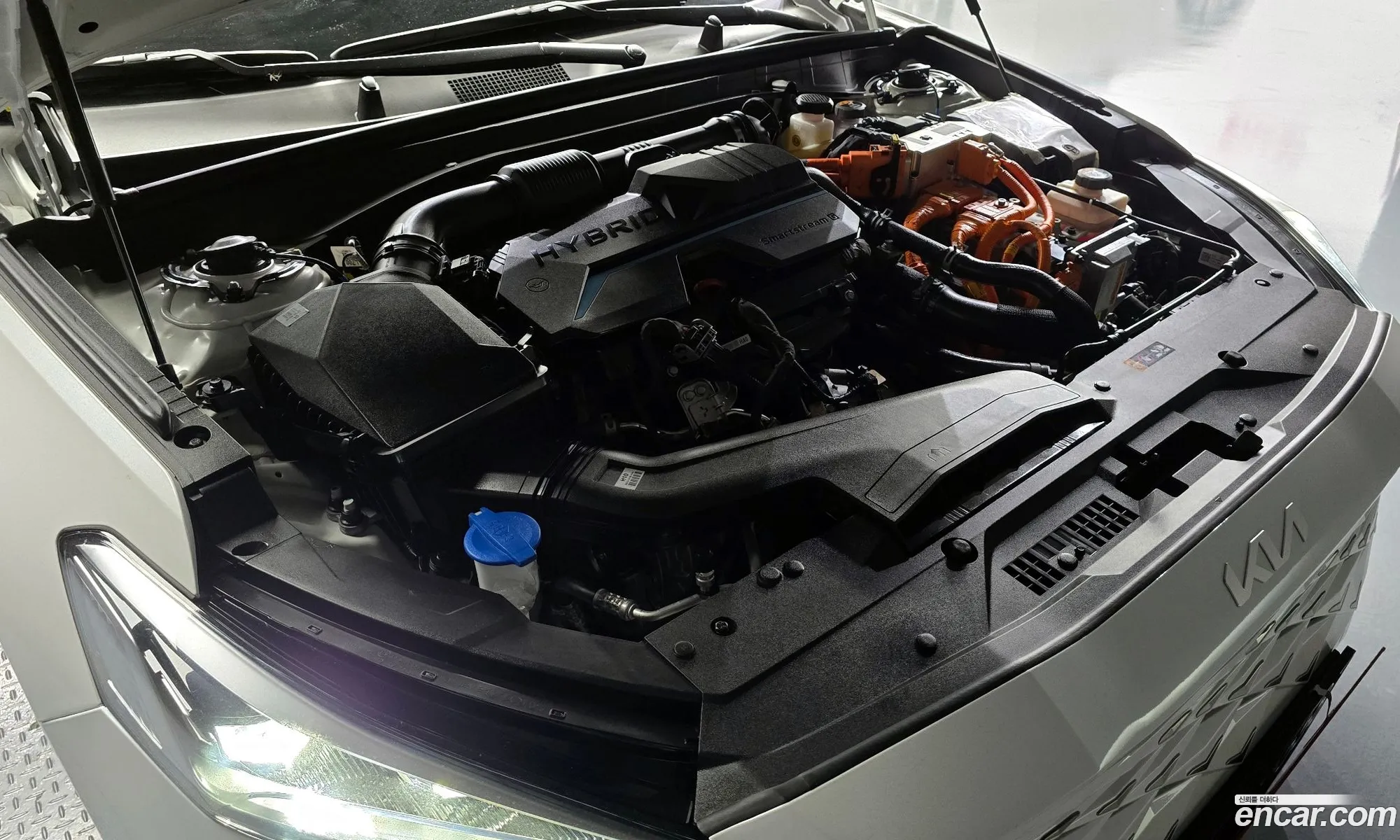 Korex Auto Trade - фотография 13398027