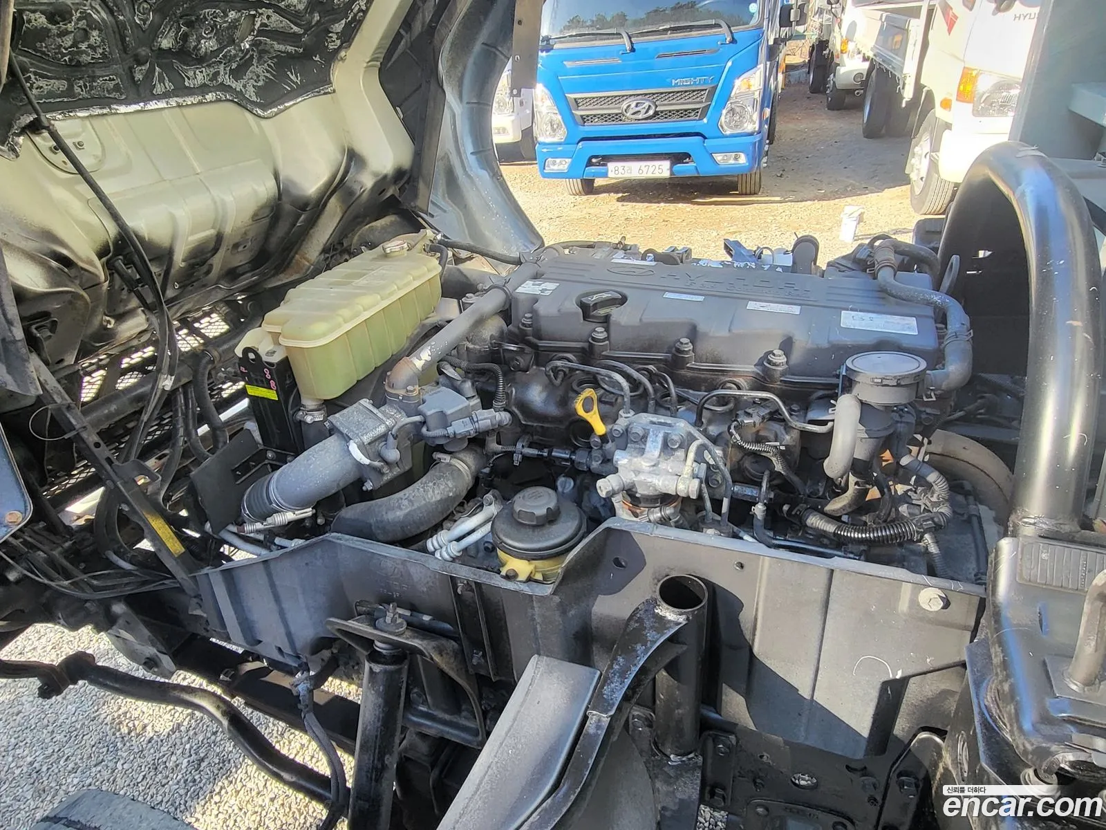 Korex Auto Trade - фотография 12335247
